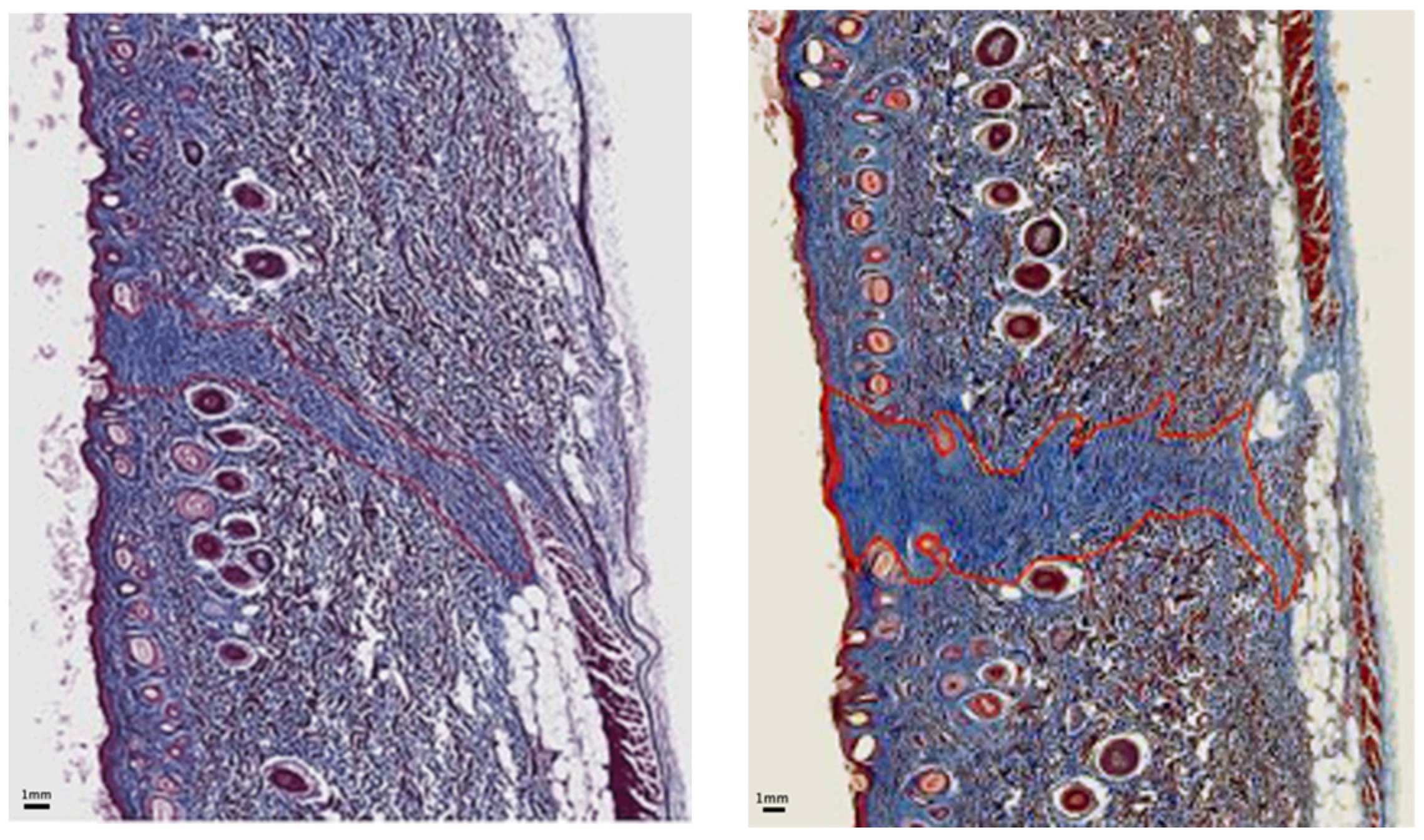 Surgeries 06 00030 g009