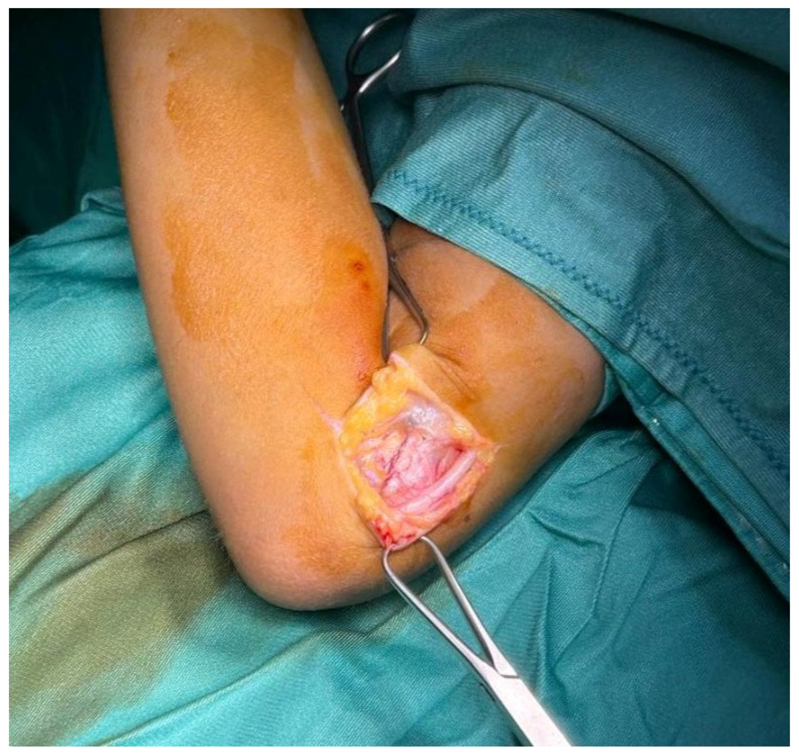 Surgeries 06 00049 g001