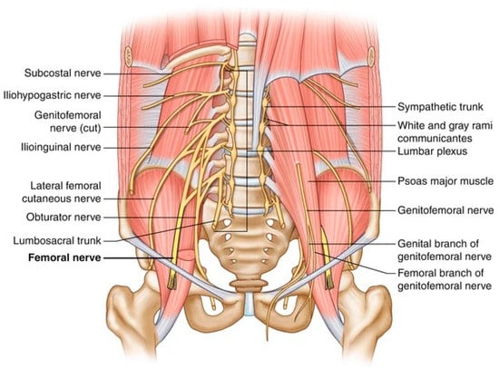 Surgeries 06 00058 g002