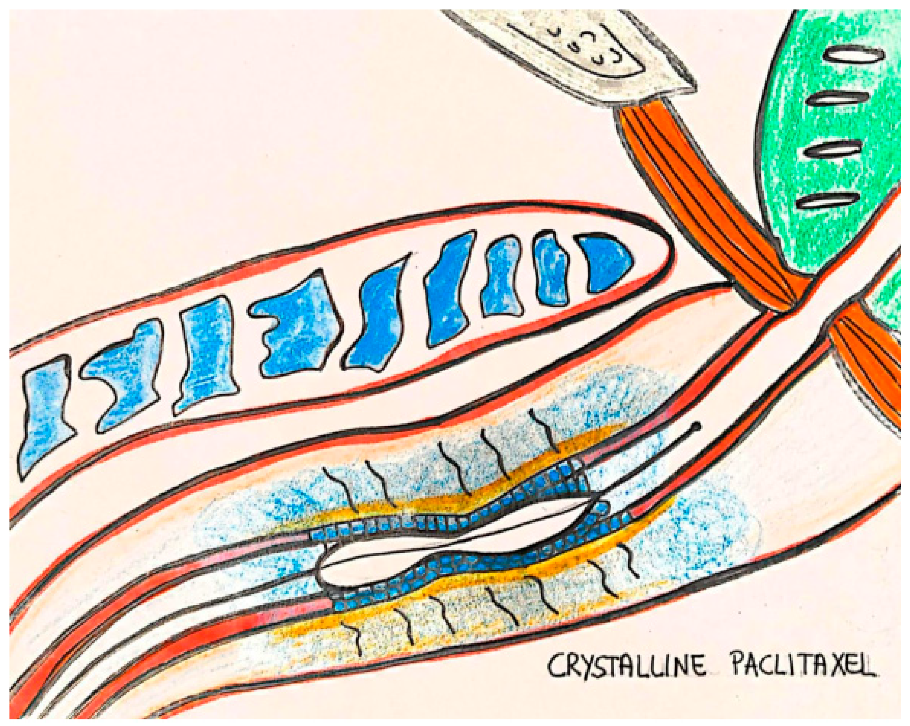 Surgeries 06 00059 g002