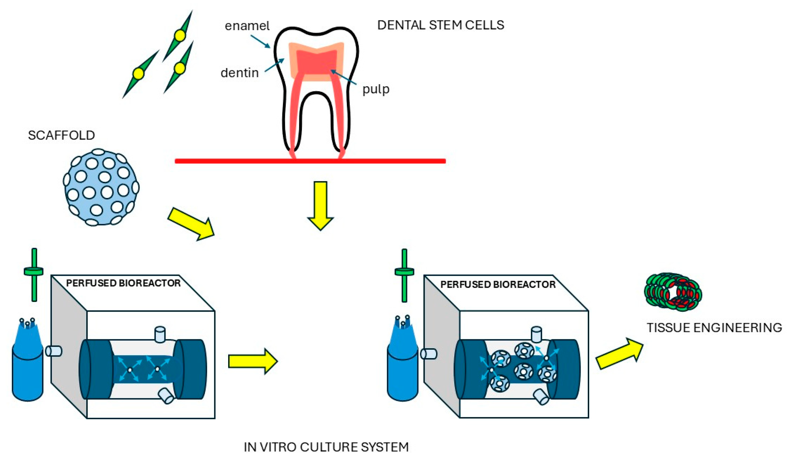 Surgeries 06 00065 g001 Surgeries 06 00065 g001