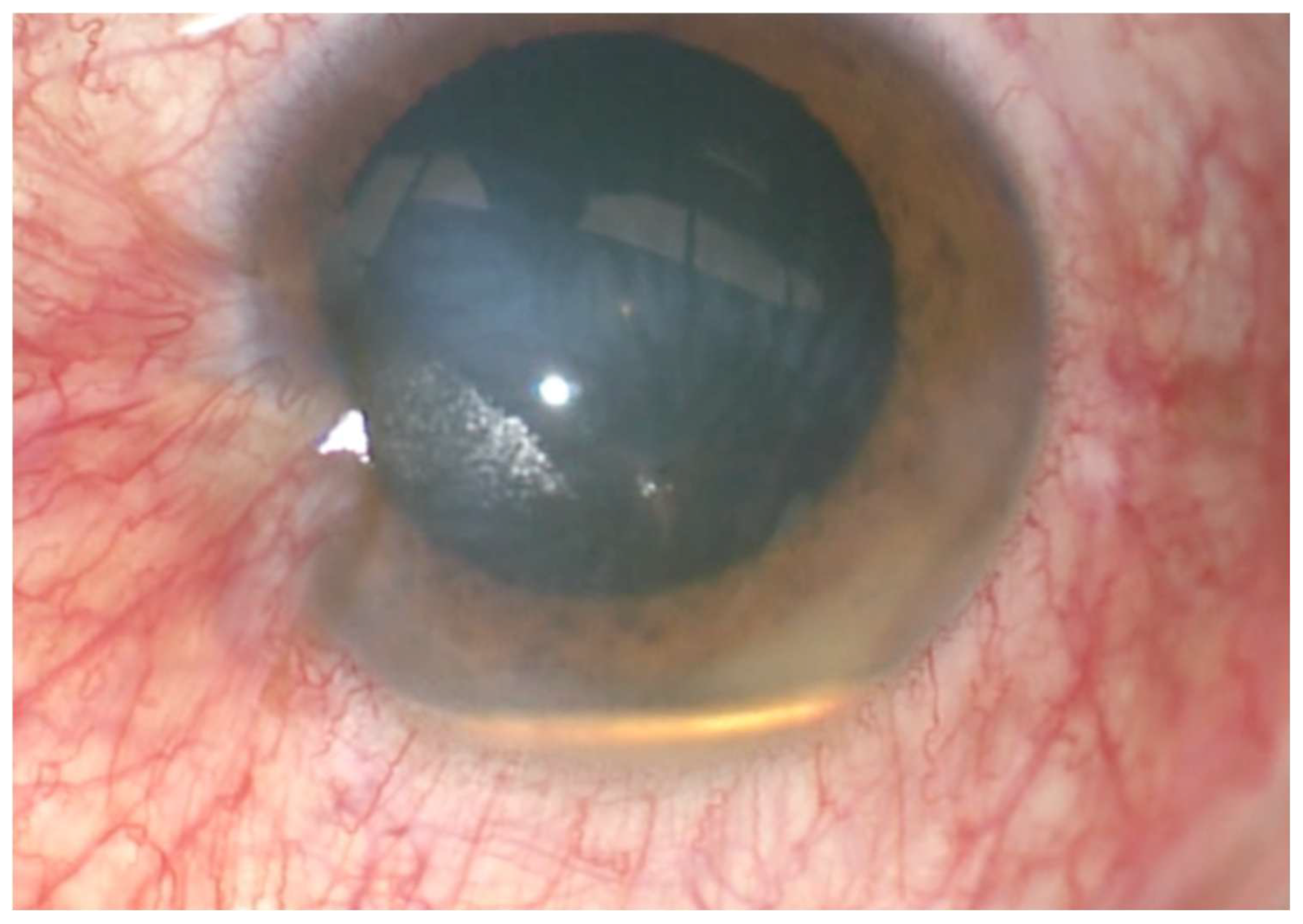 Surgeries 06 00068 g001