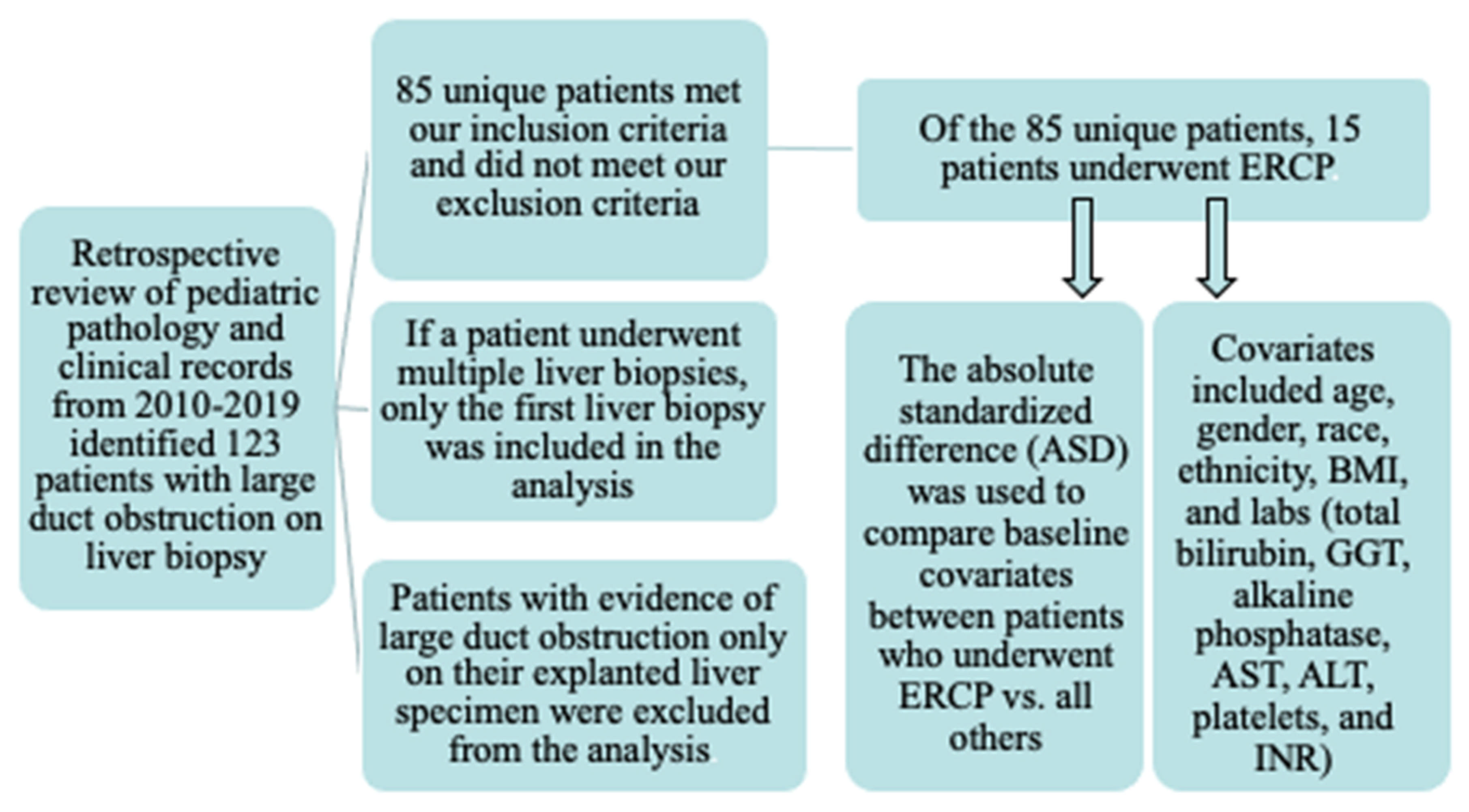 Surgeries 06 00082 g001