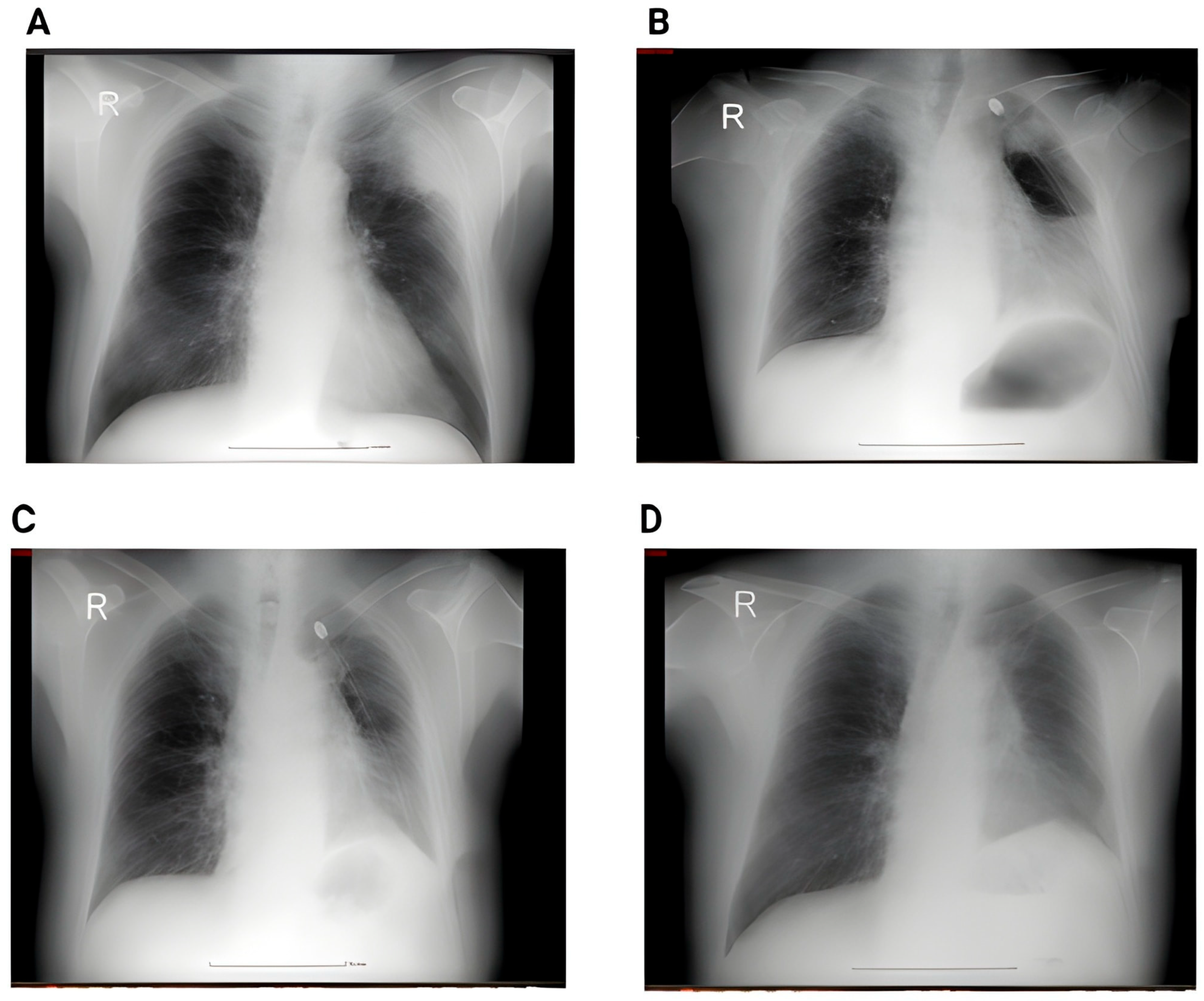 Surgeries 06 00084 g002