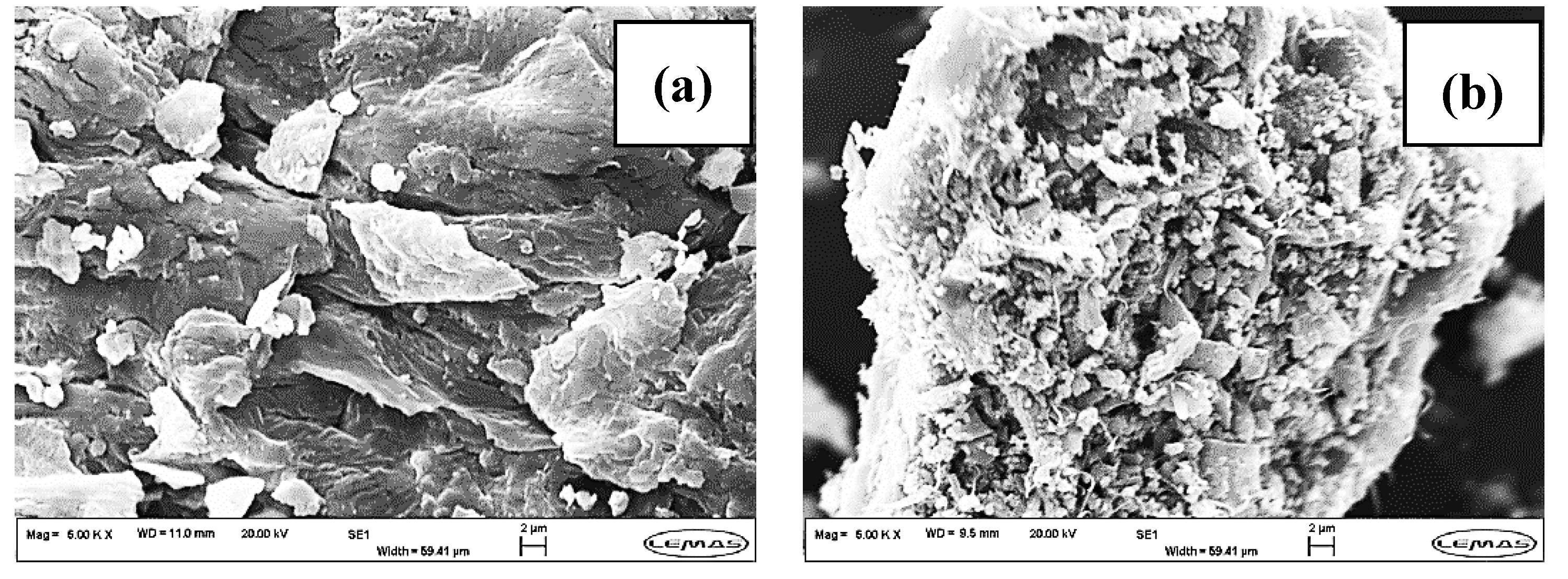Suschem 01 00003 g003a