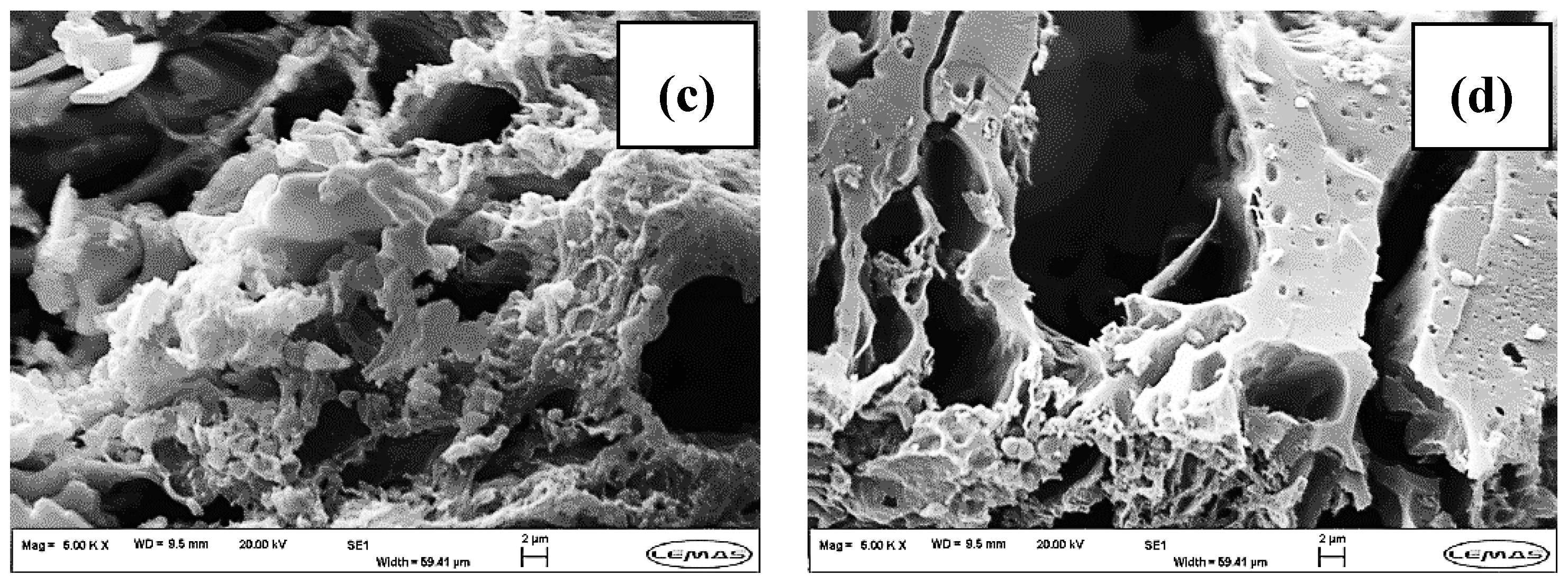 Suschem 01 00003 g003b