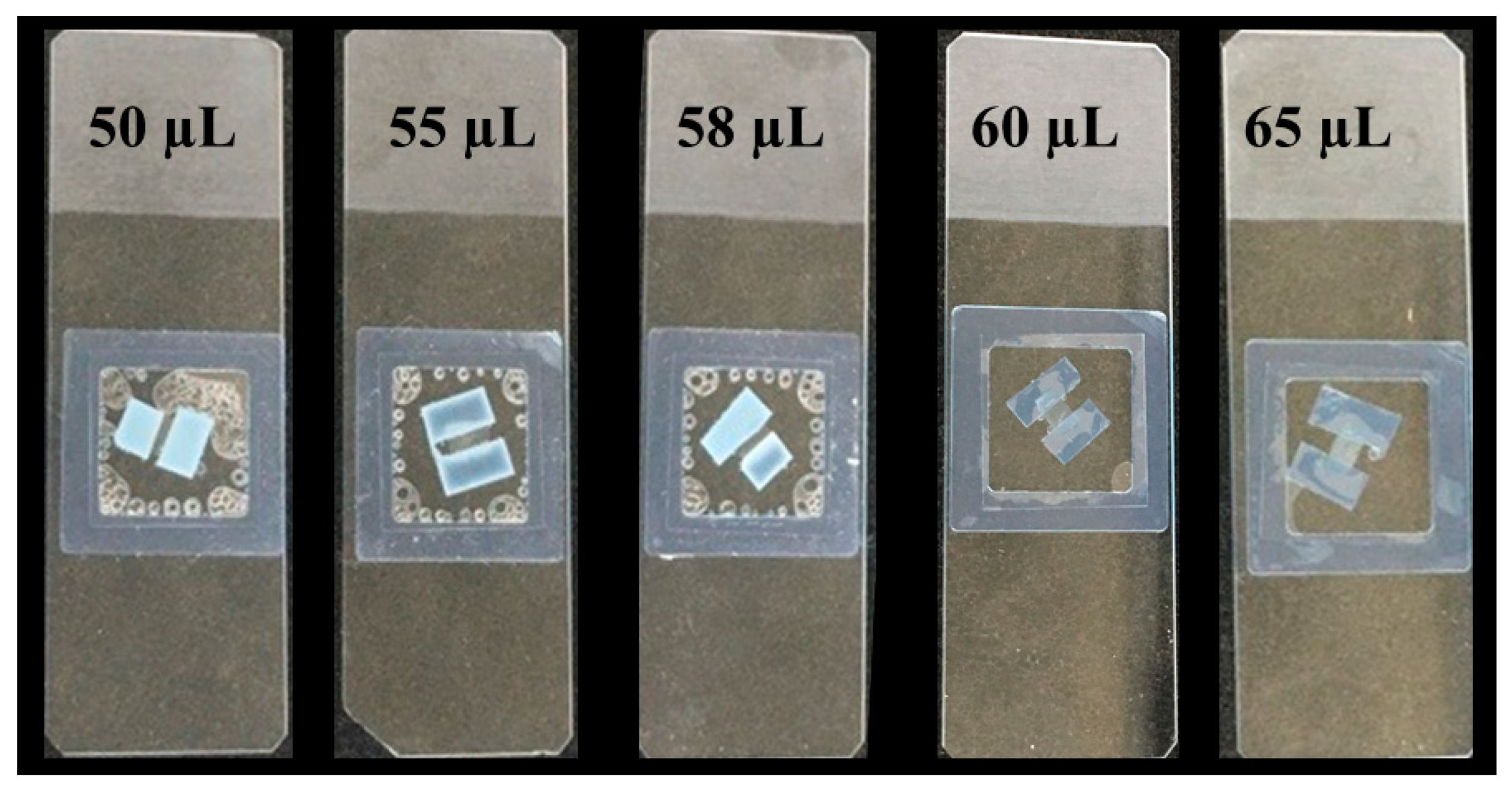 Suschem 01 00007 g002