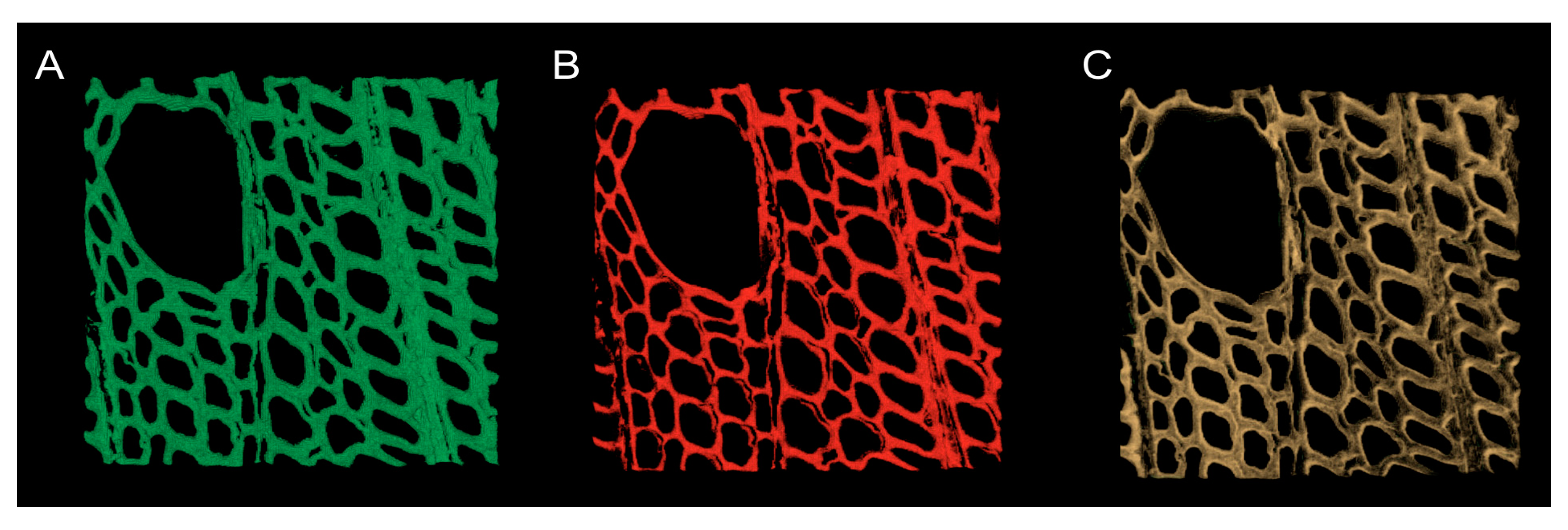 Suschem 01 00007 g008