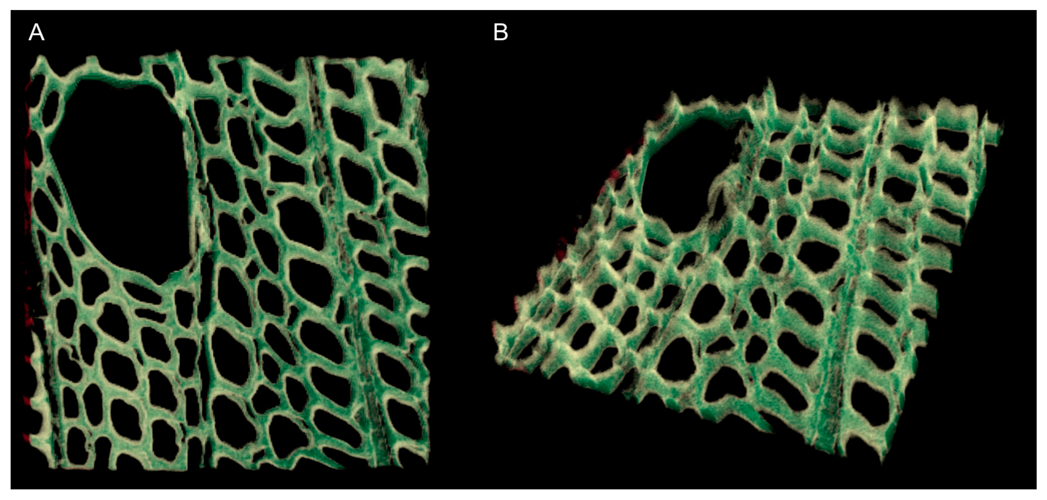 Suschem 01 00007 g009