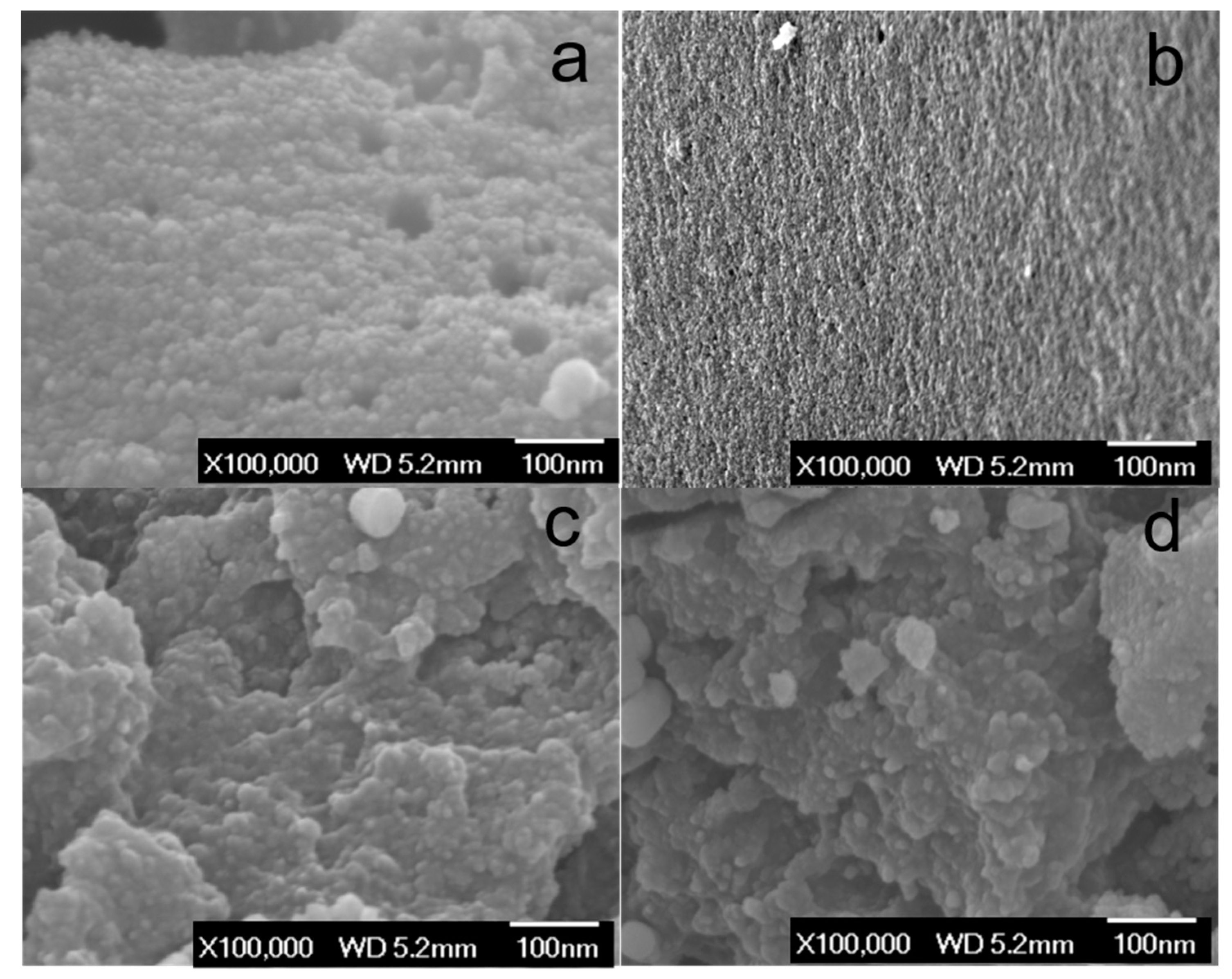 Suschem 01 00008 g004