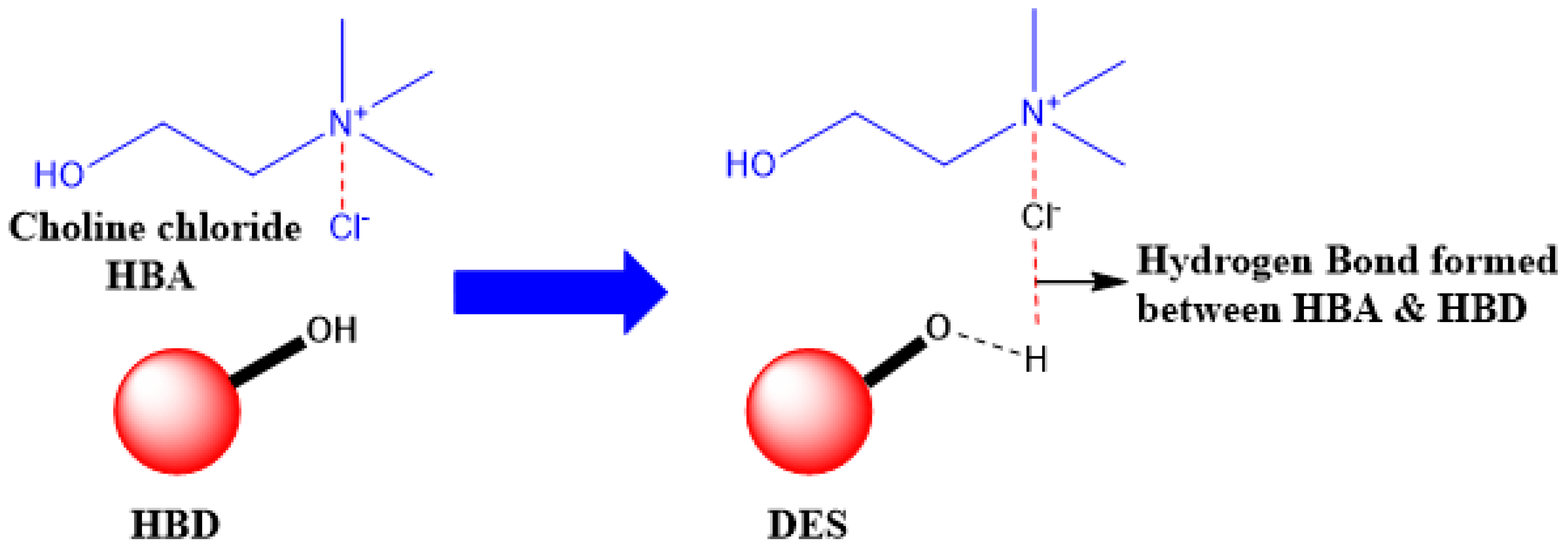 Suschem 01 00010 g005
