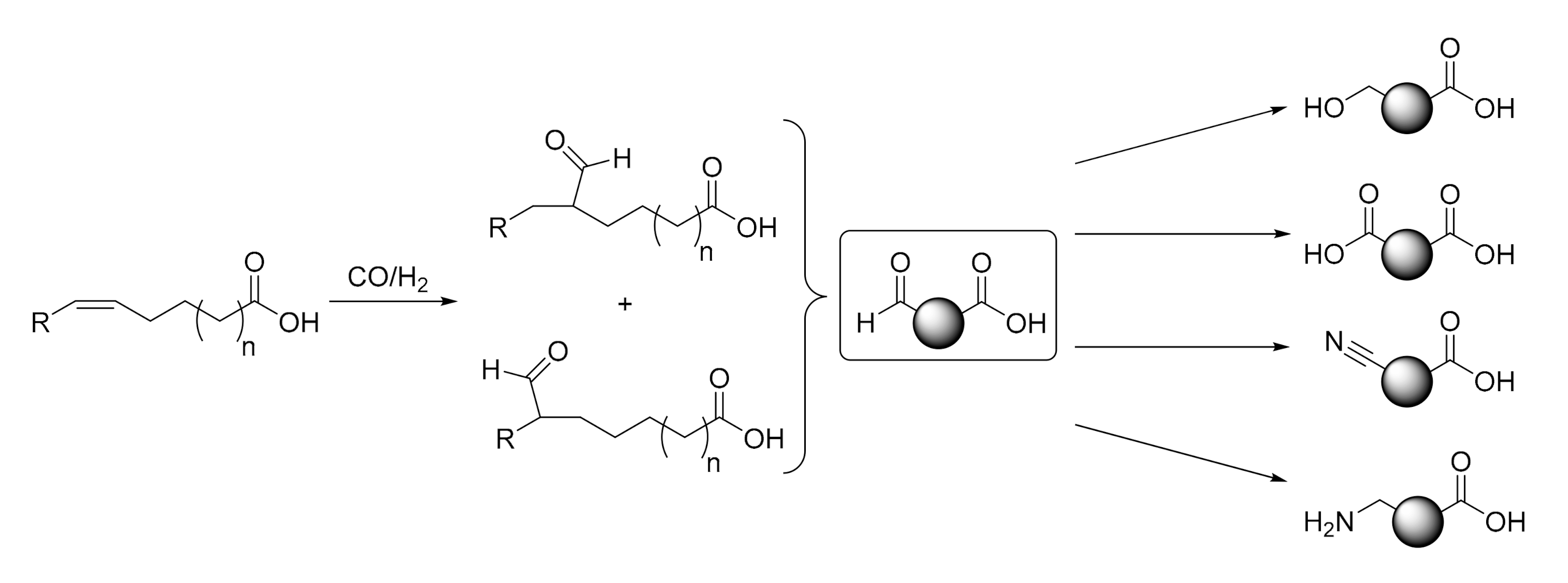 Suschem 01 00018 sch001