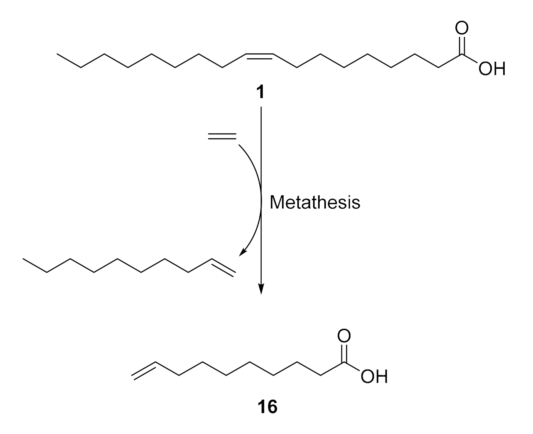 Suschem 01 00018 sch002