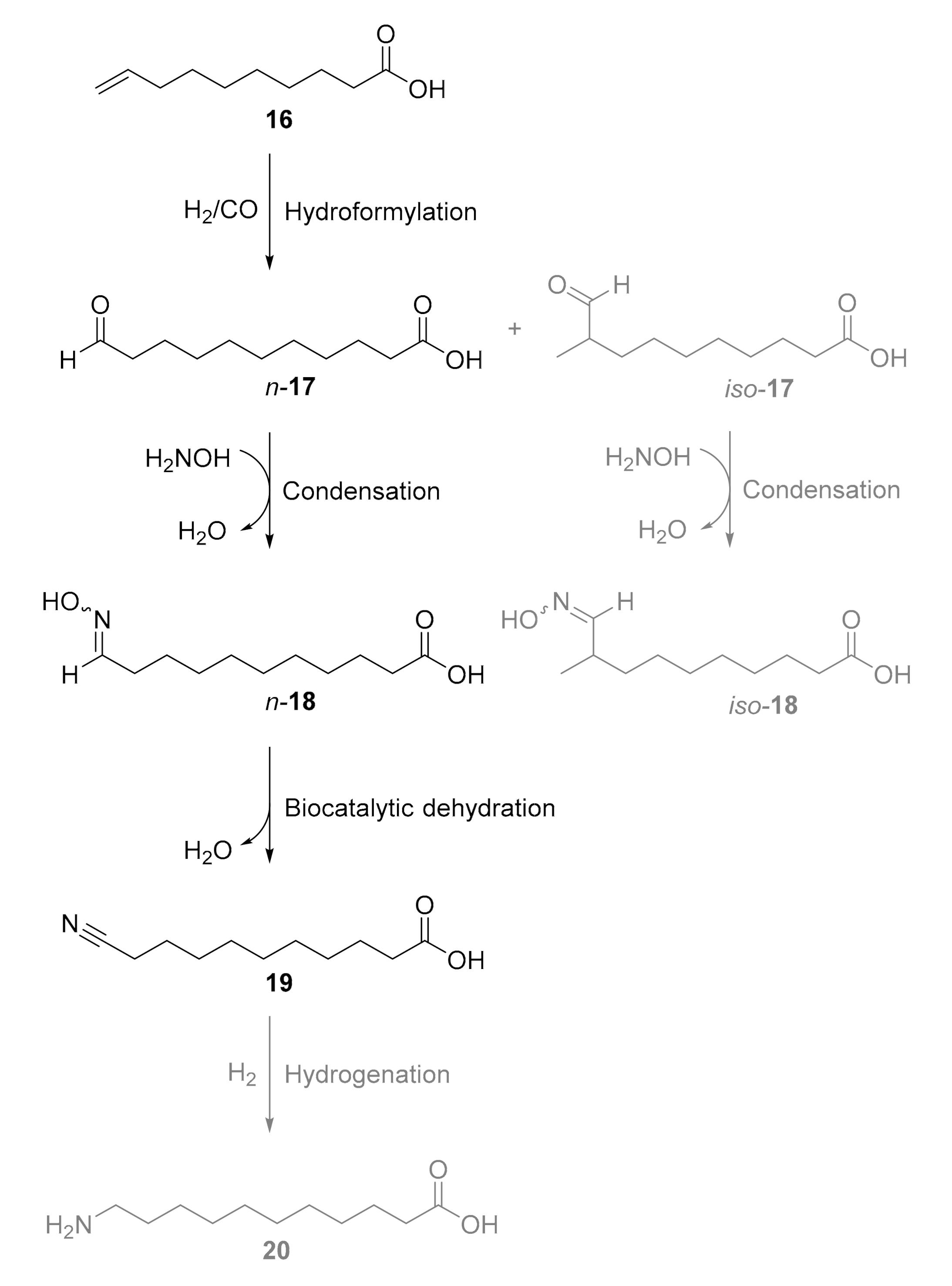 Suschem 01 00018 sch003