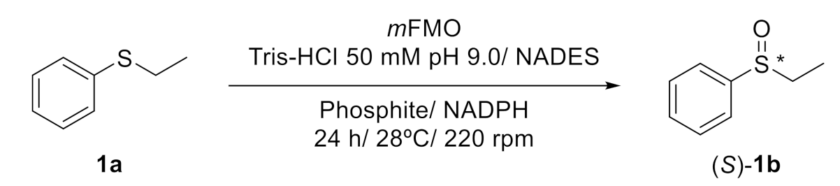 Suschem 01 00019 i001 Suschem 01 00019 i001