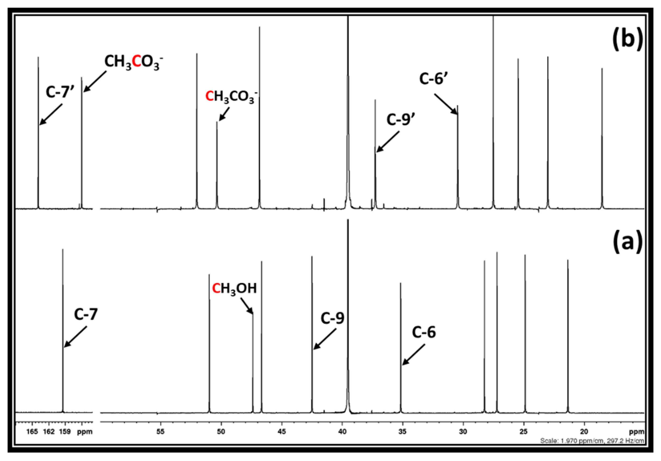 Suschem 01 00020 g002