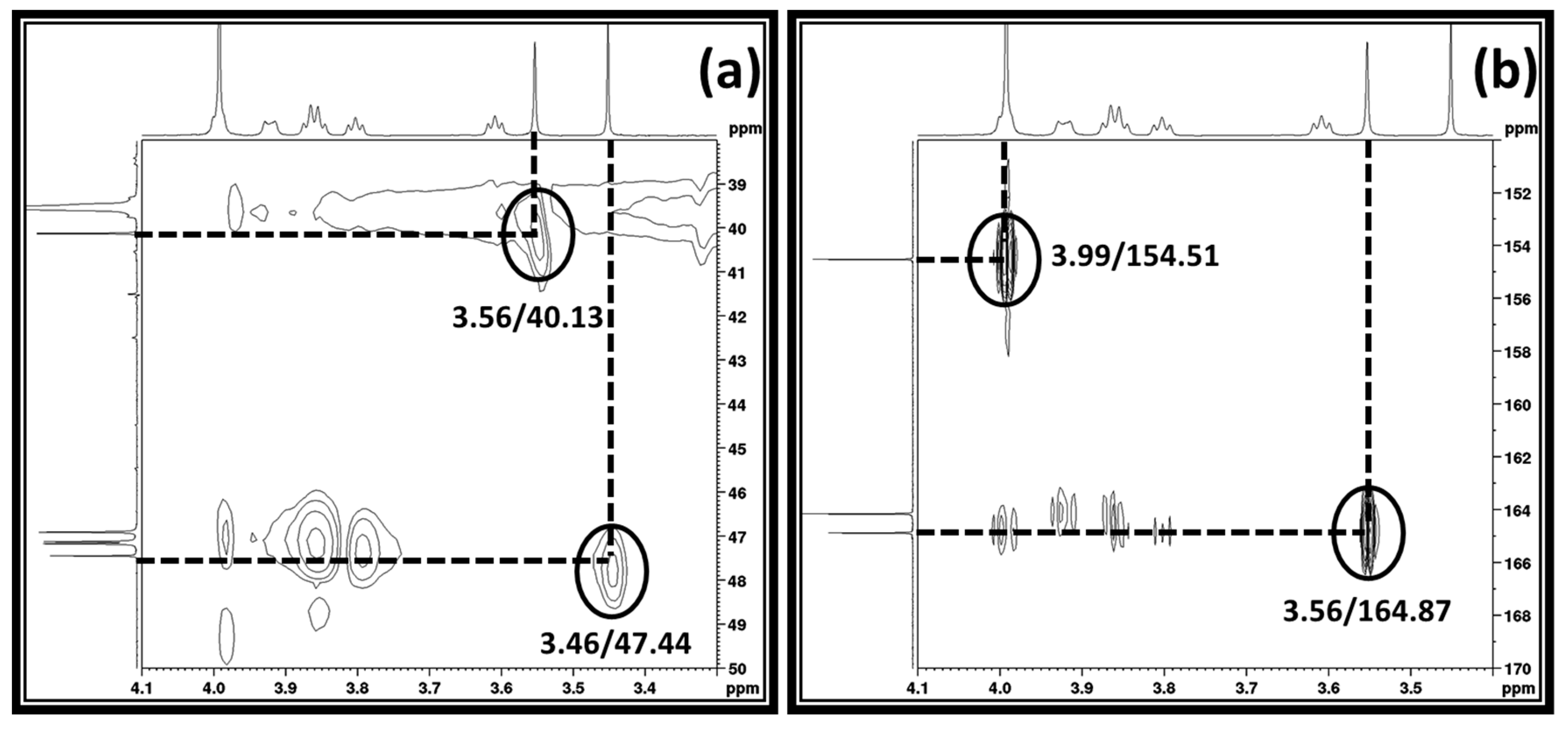 Suschem 01 00020 g004