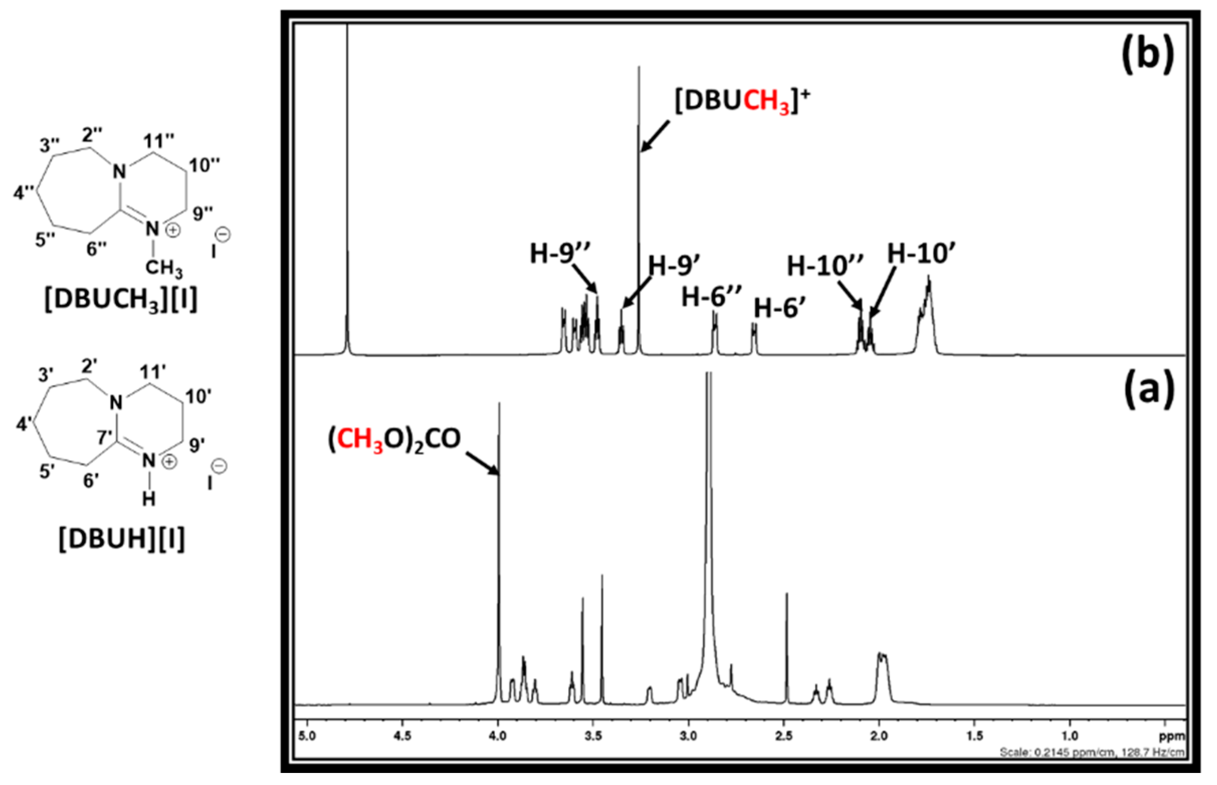 Suschem 01 00020 g007
