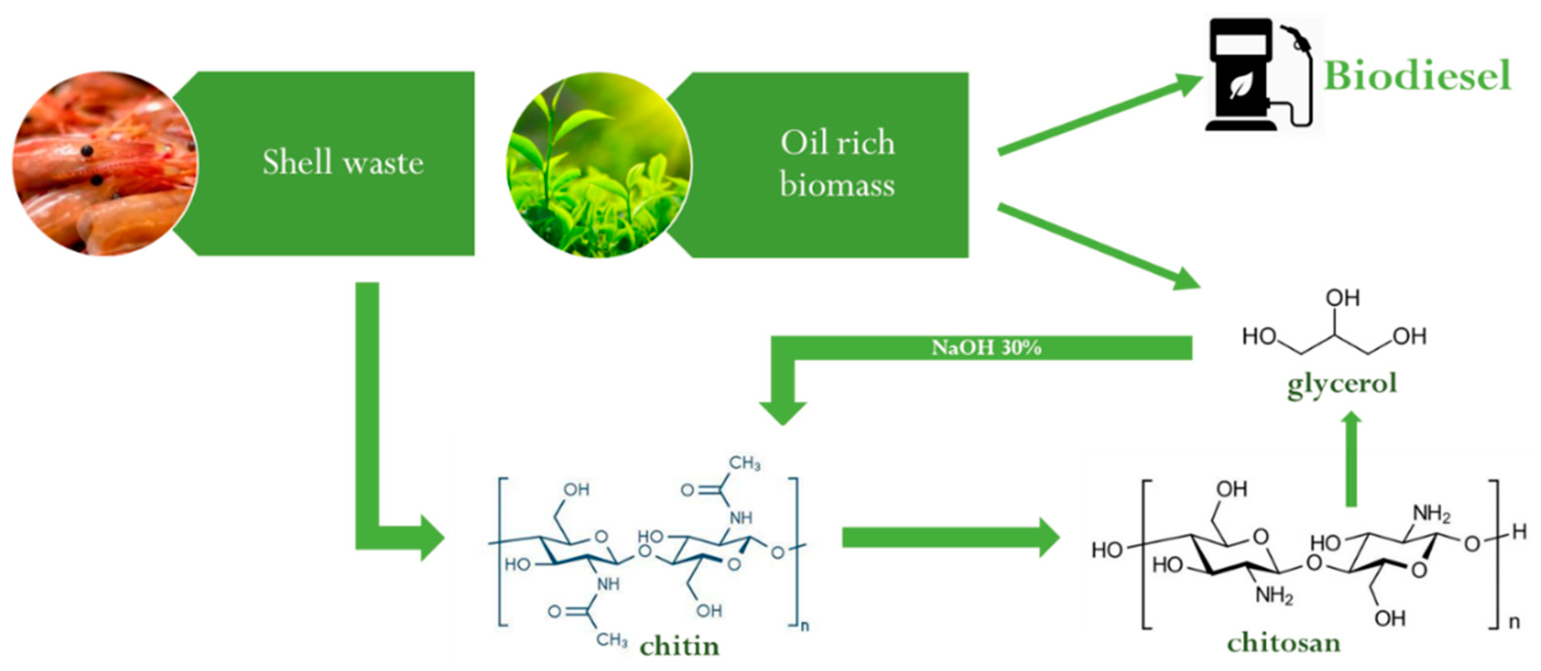 Suschem 01 00022 g007
