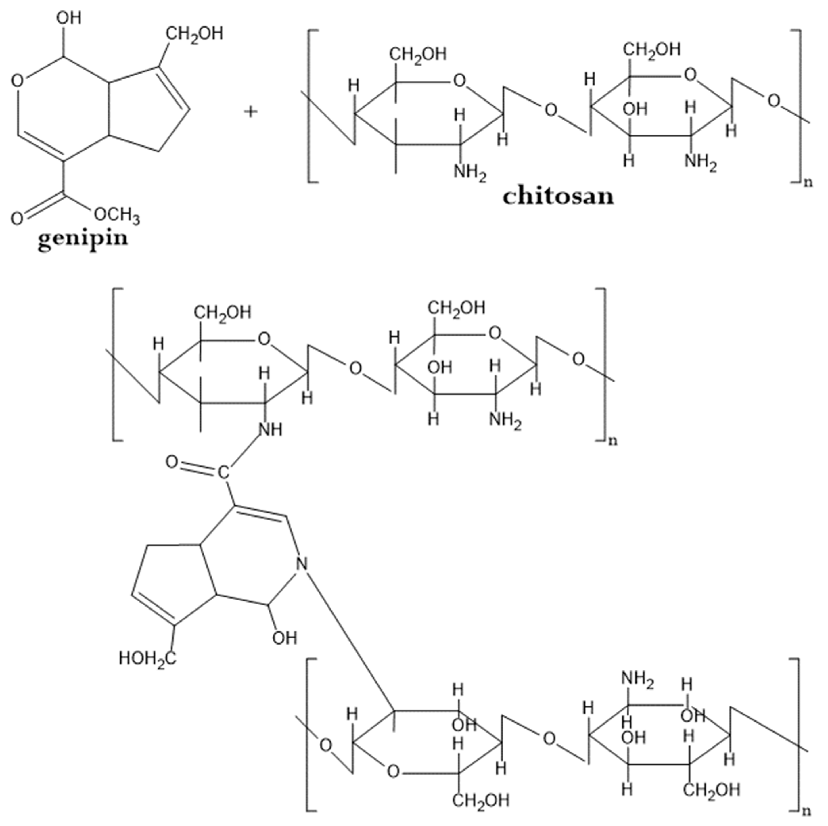 Suschem 01 00022 g008