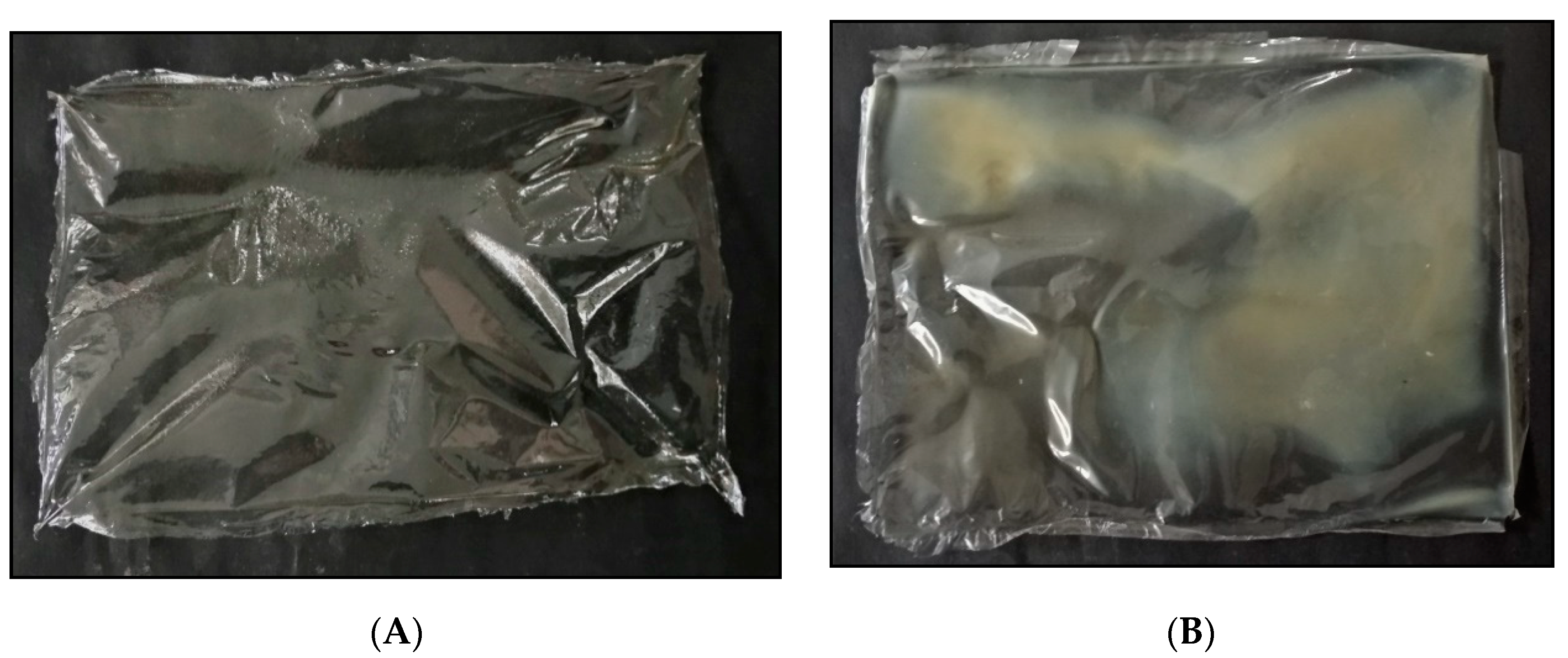 Suschem 02 00004 g001