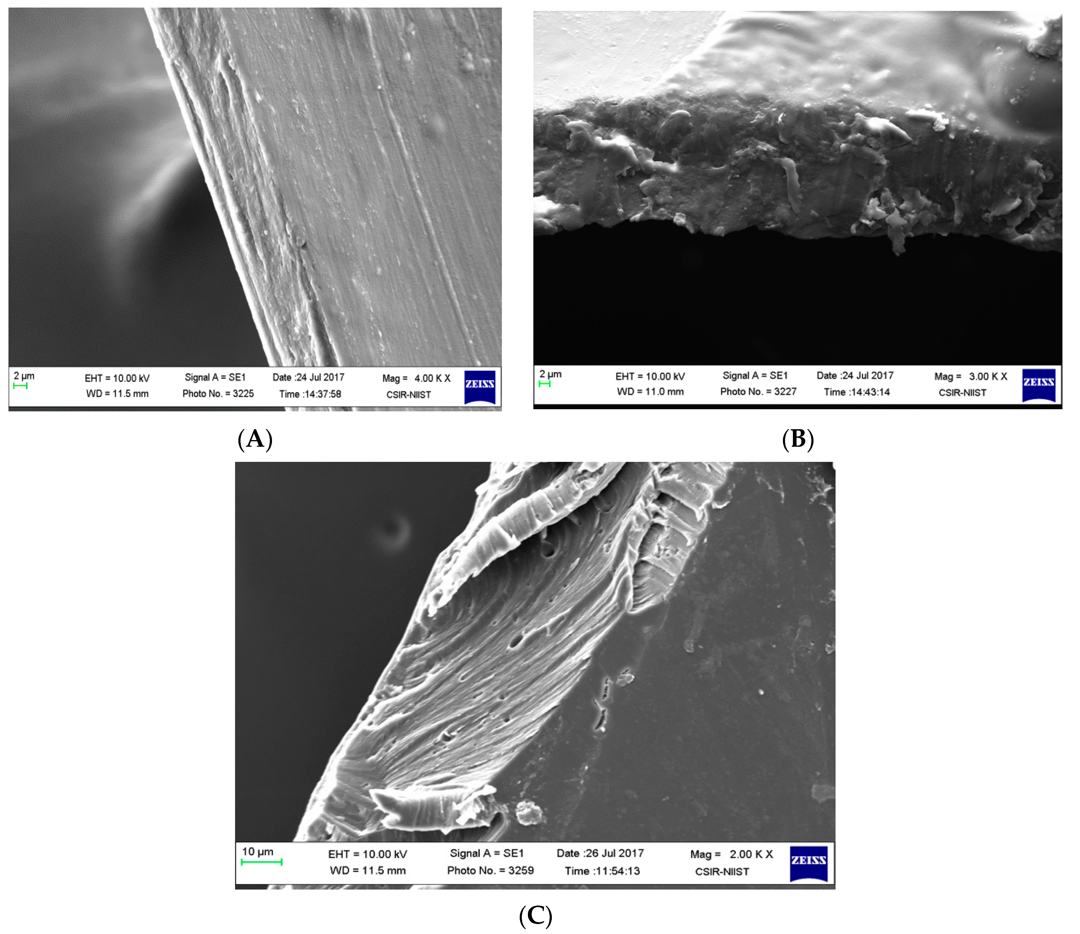 Suschem 02 00004 g002