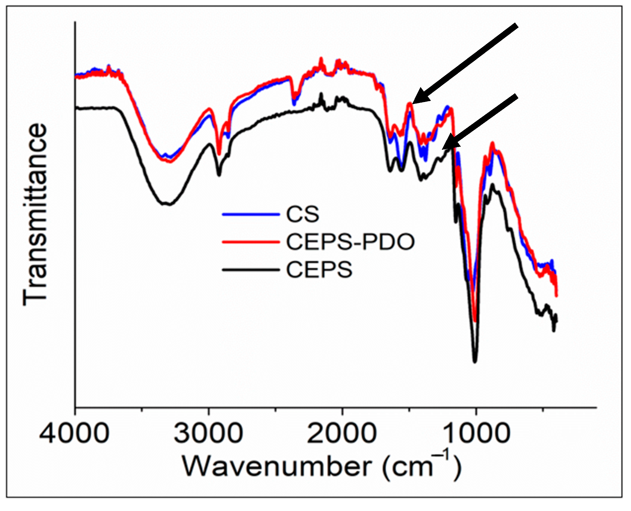 Suschem 02 00004 g004