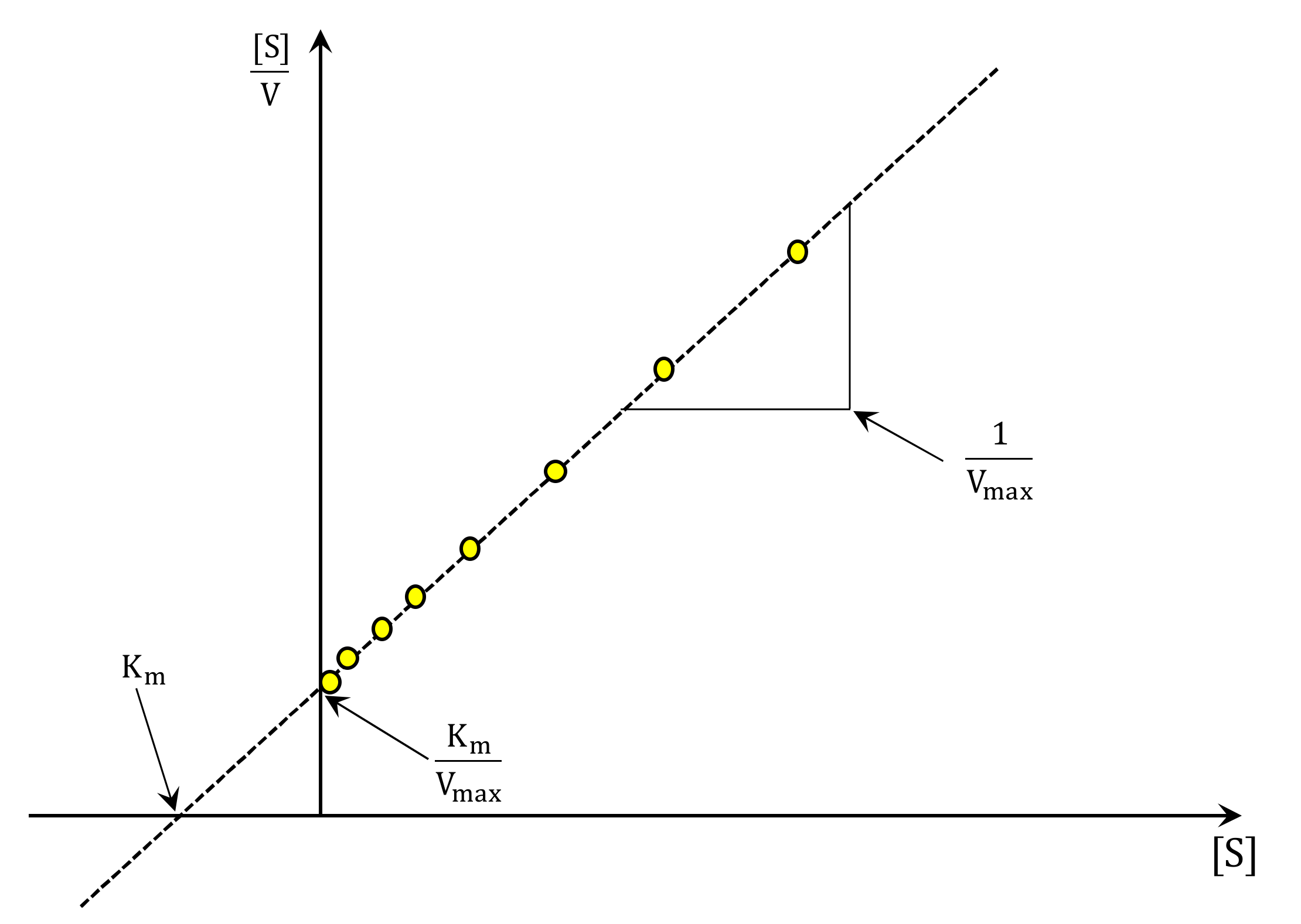 Suschem 02 00007 g003