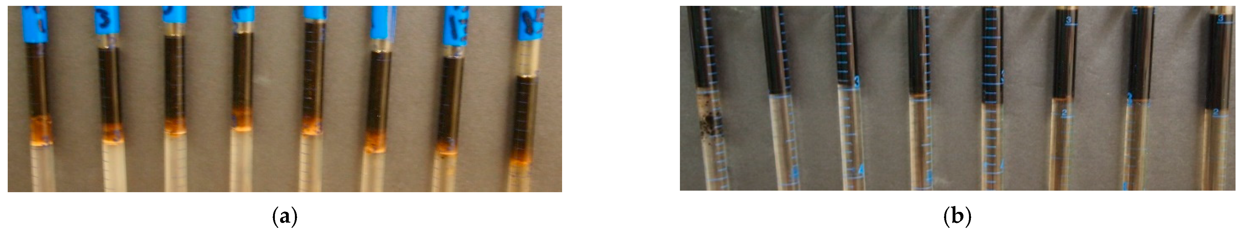 Suschem 02 00009 g004