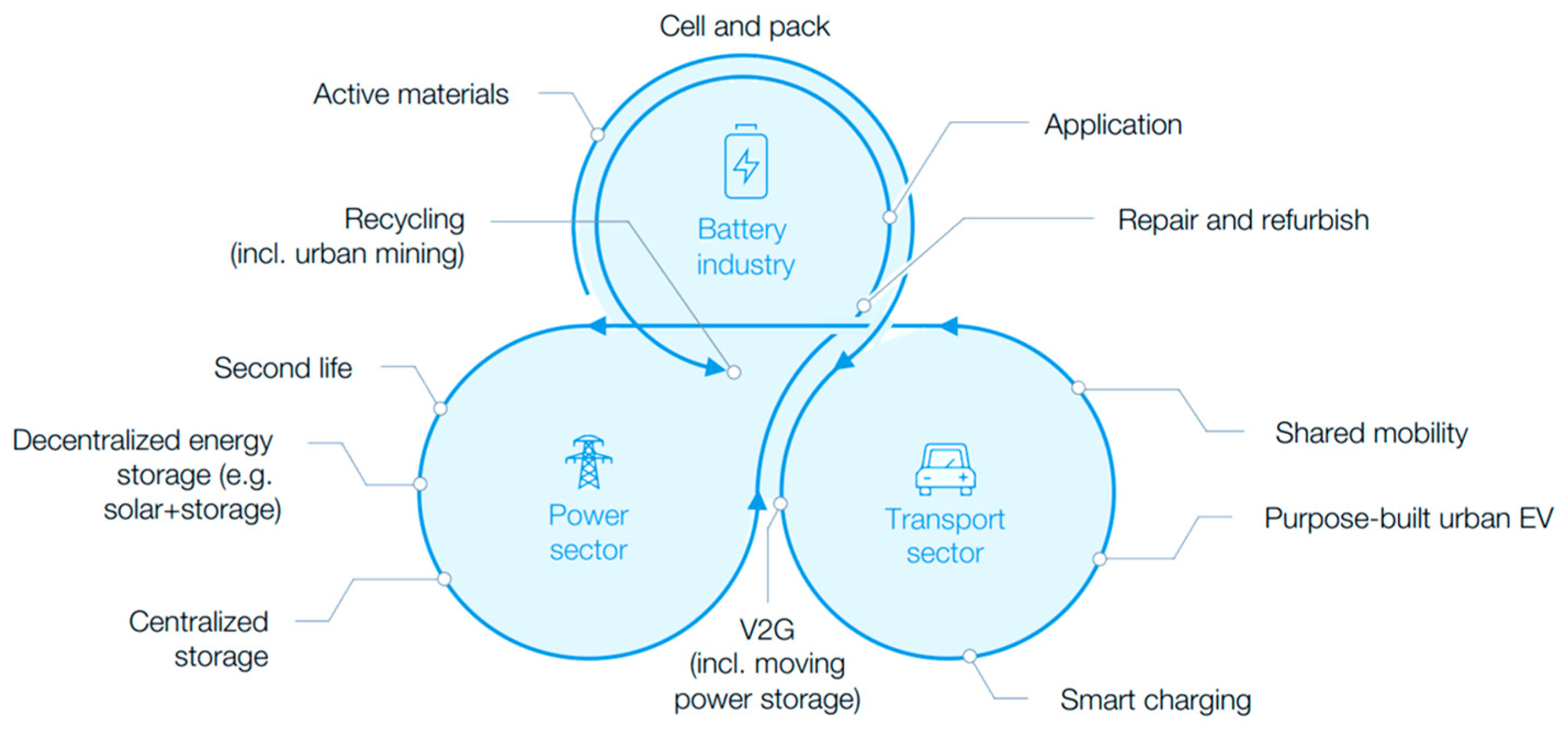 Suschem 02 00011 g005