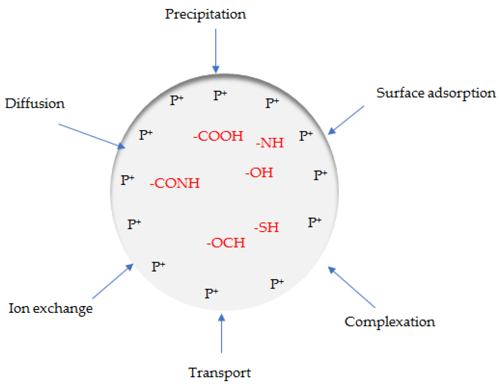 Suschem 02 00016 g001