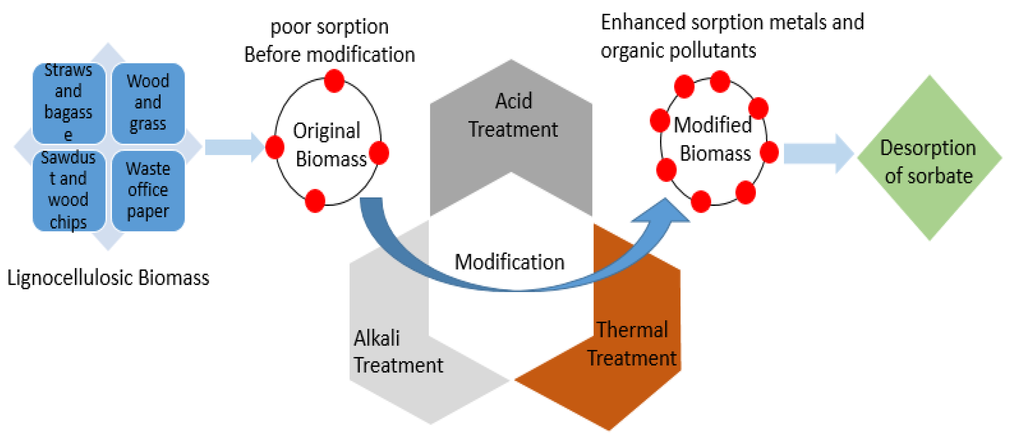 Suschem 02 00016 g002