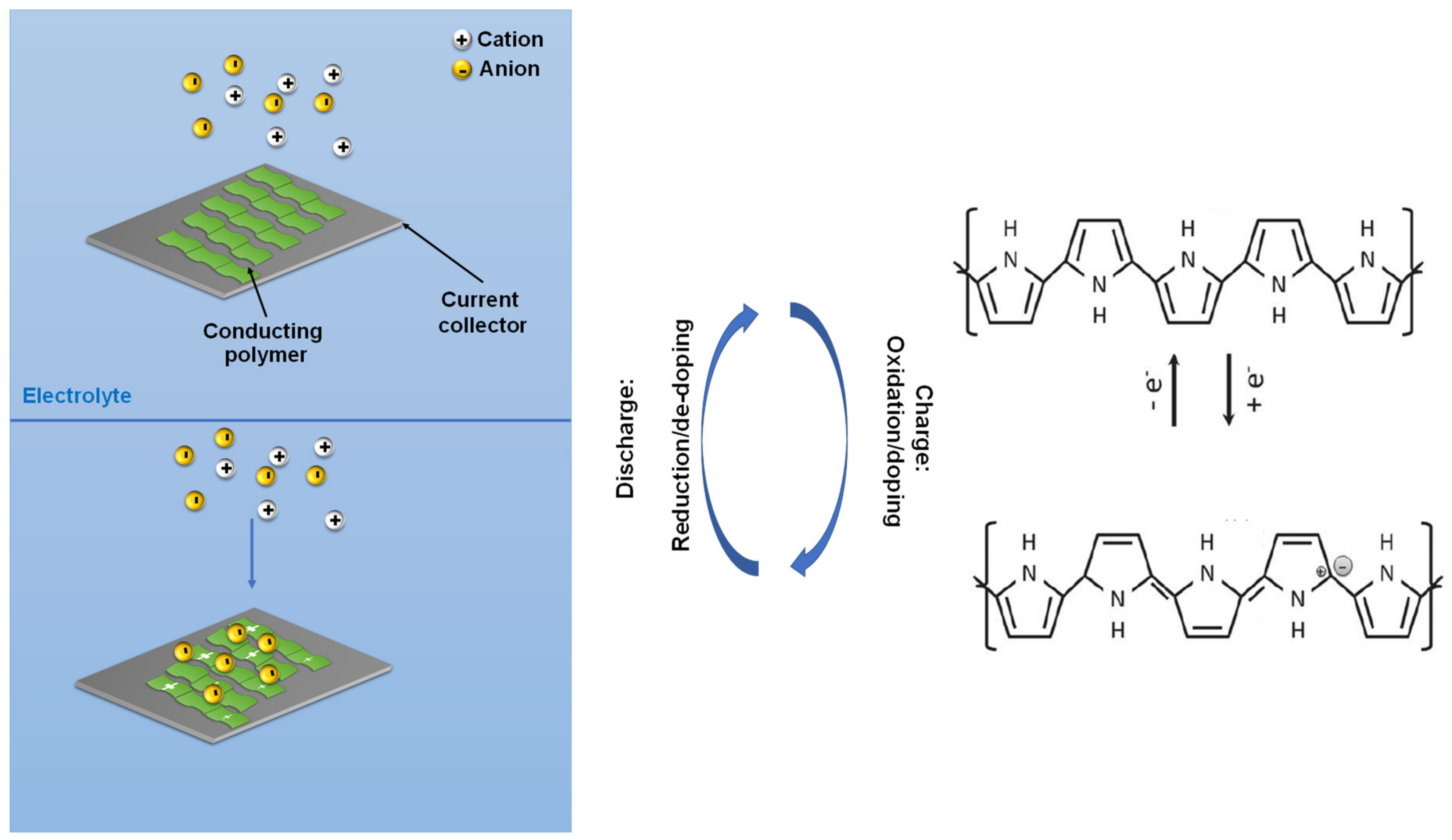 Suschem 02 00024 g003