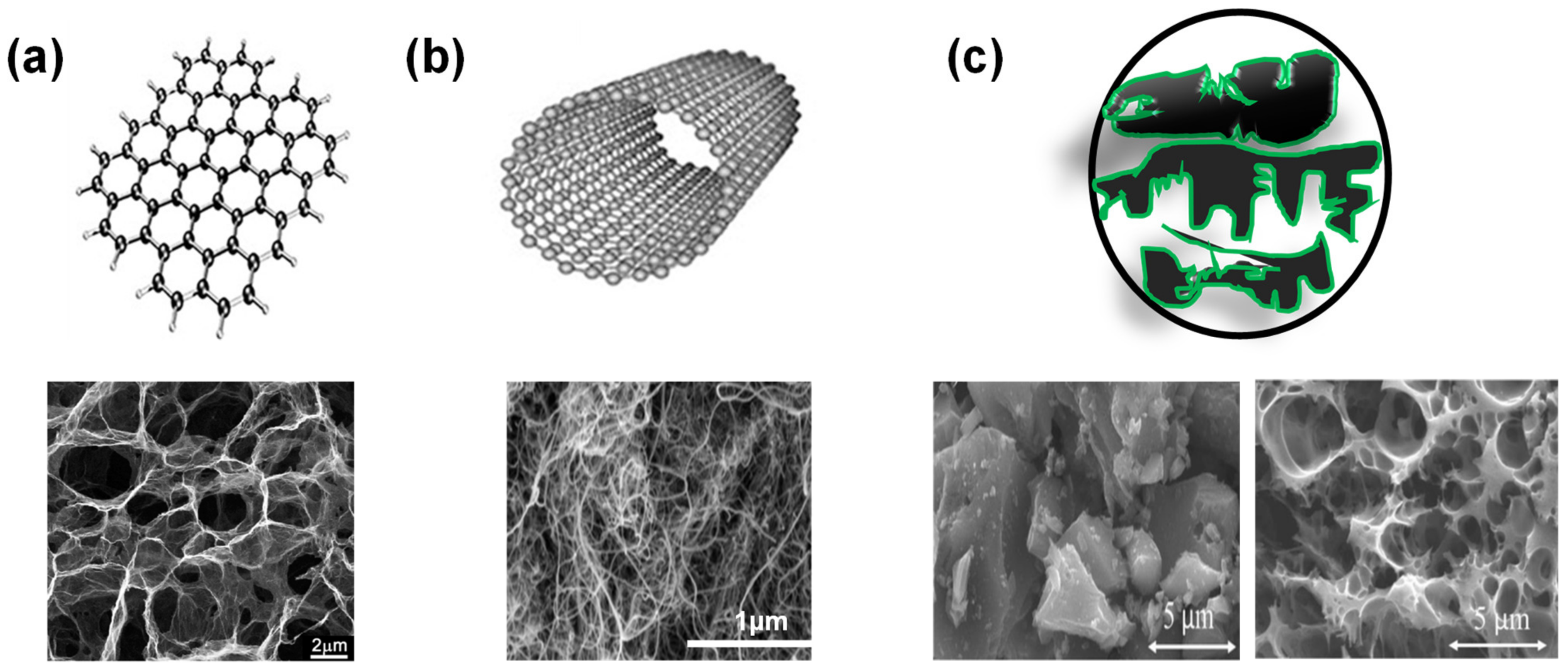 Suschem 02 00024 g005
