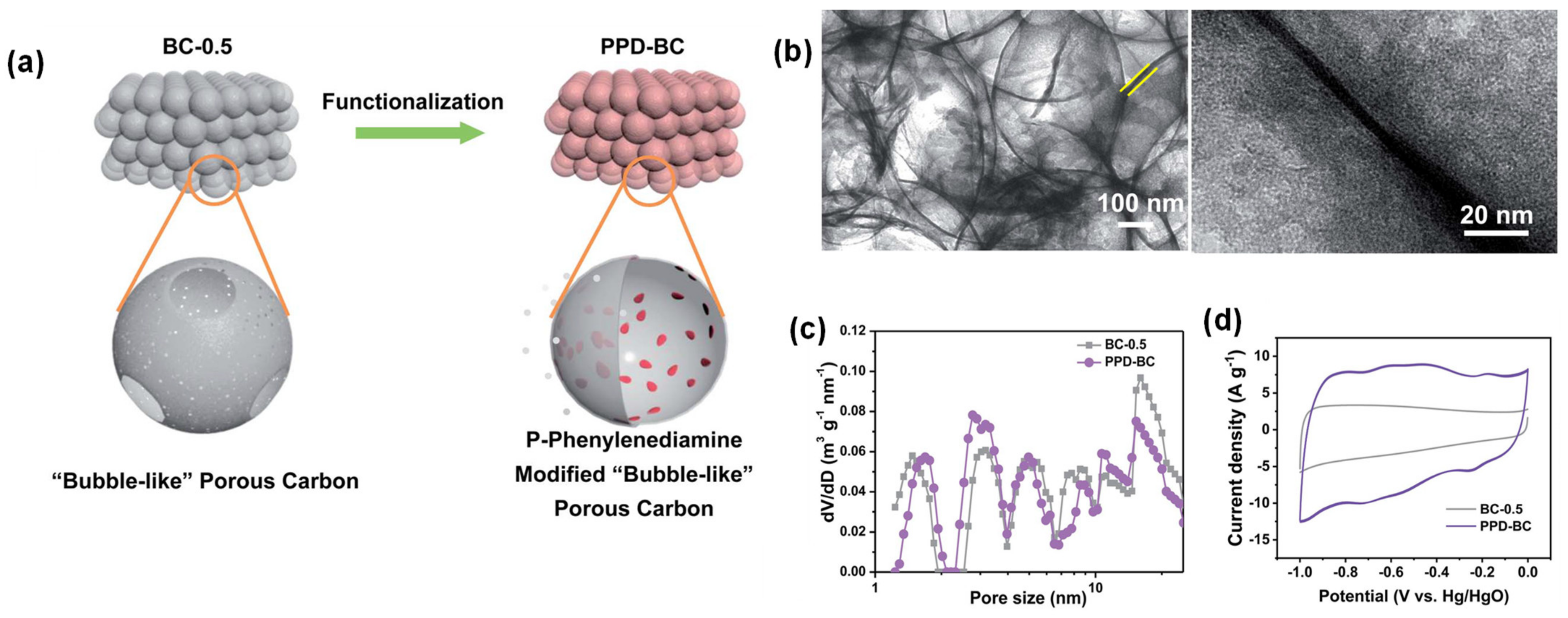 Suschem 02 00024 g010