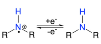 Suschem 02 00024 i001