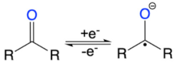 Suschem 02 00024 i002