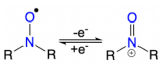 Suschem 02 00024 i004