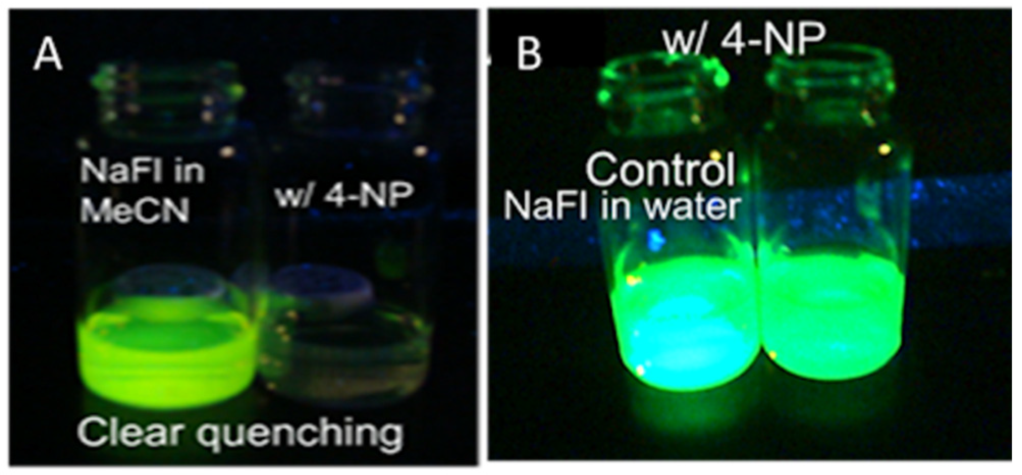 Suschem 02 00028 g008