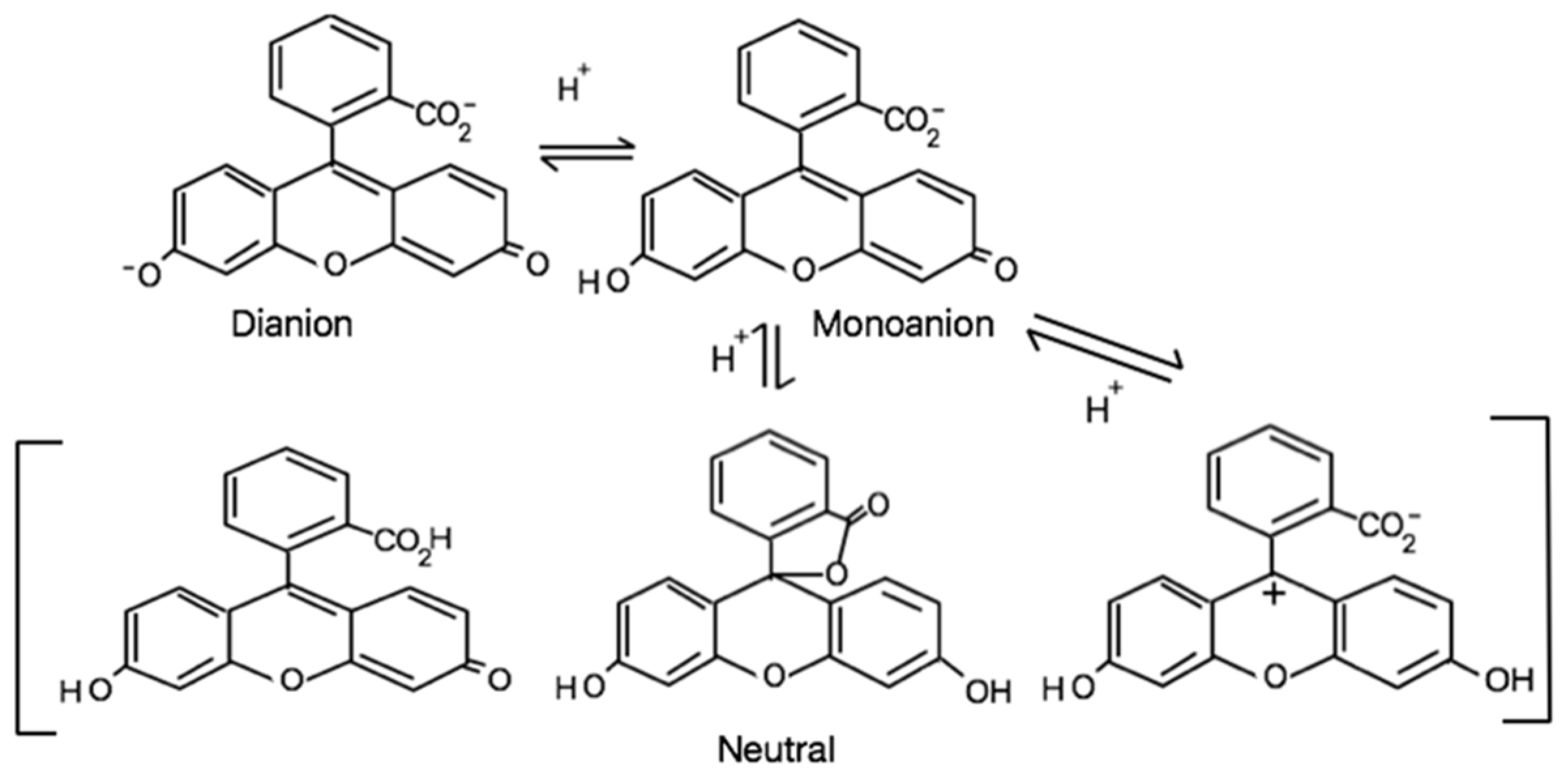 Suschem 02 00028 sch001