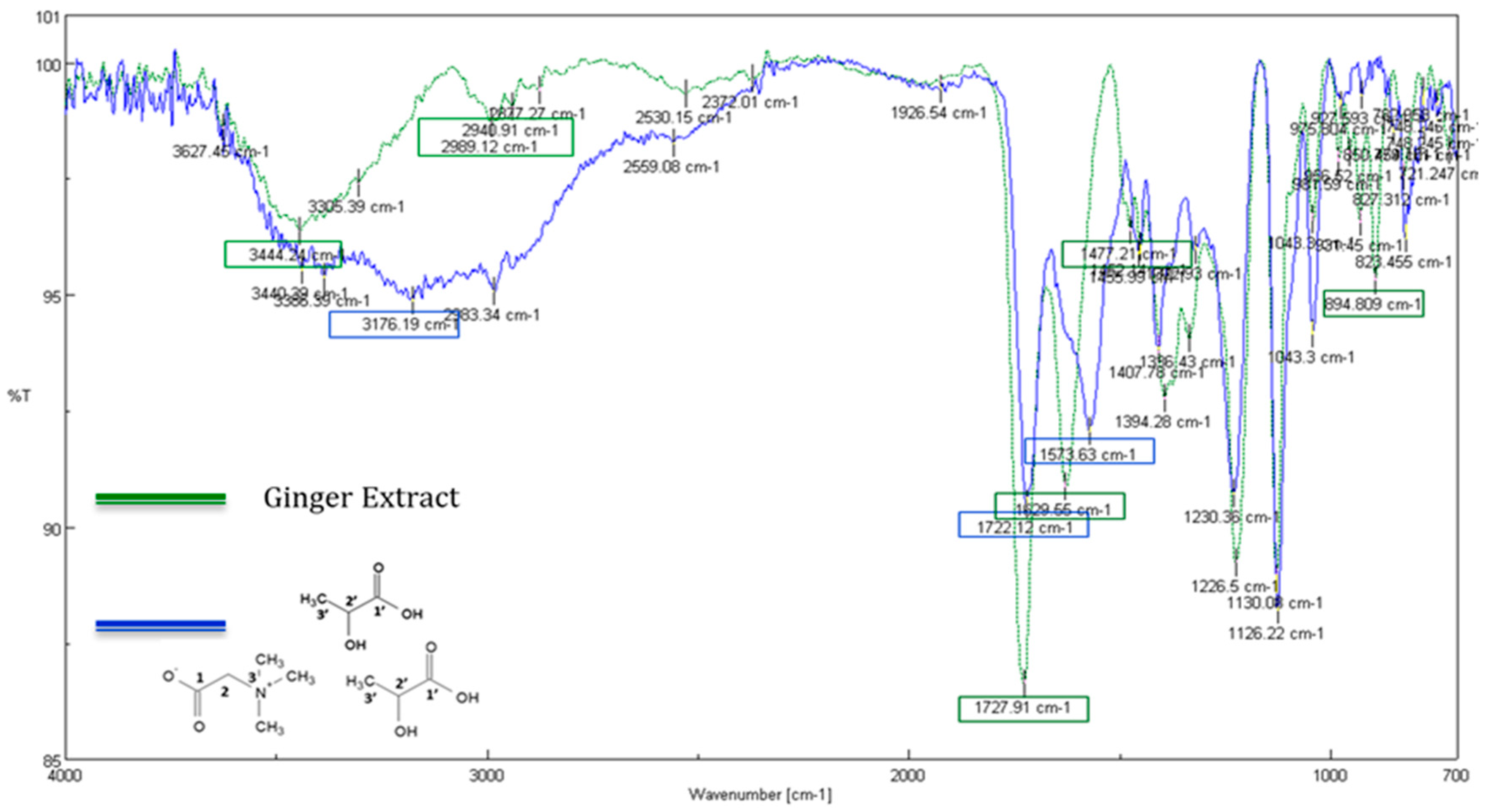 Suschem 02 00032 g006