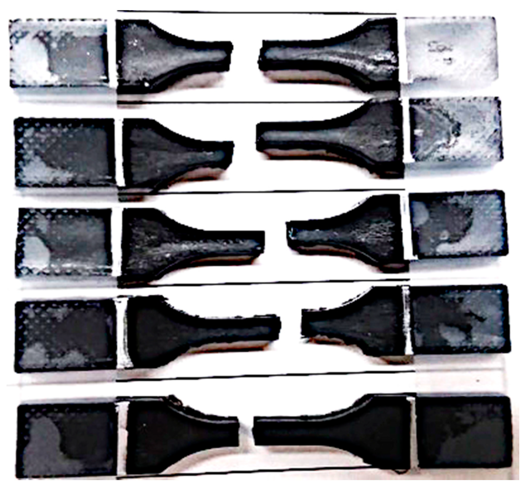 Suschem 02 00035 g009