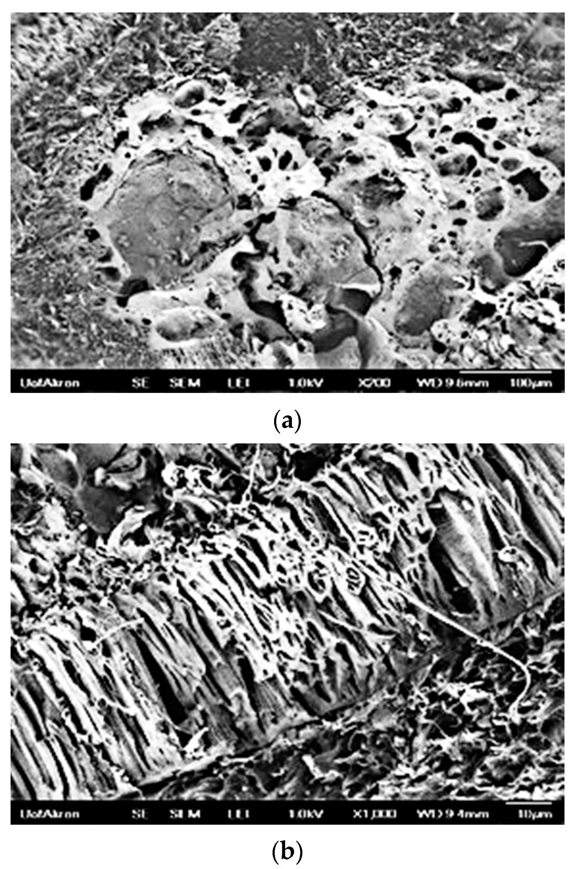 Suschem 02 00035 g013a