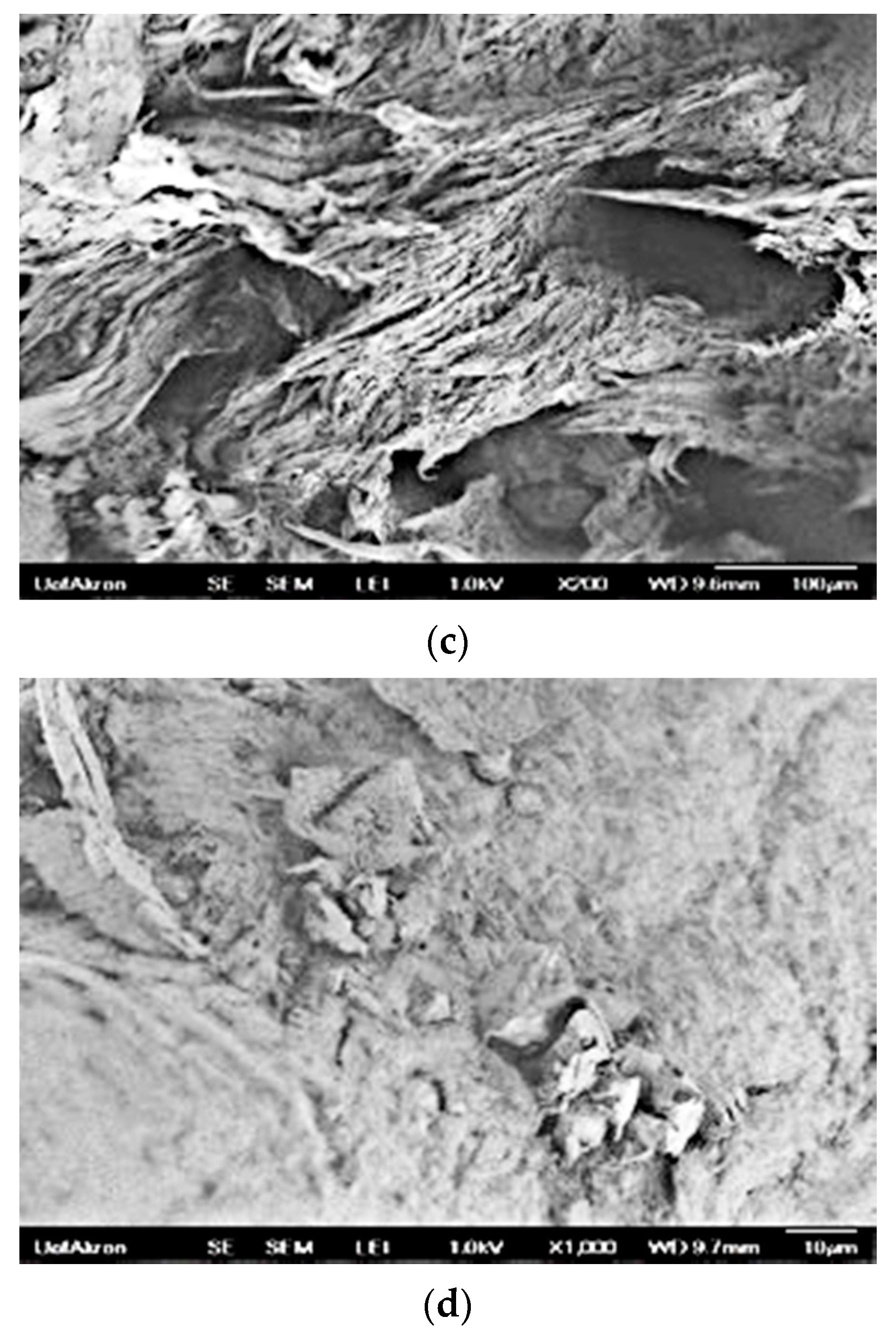 Suschem 02 00035 g013b
