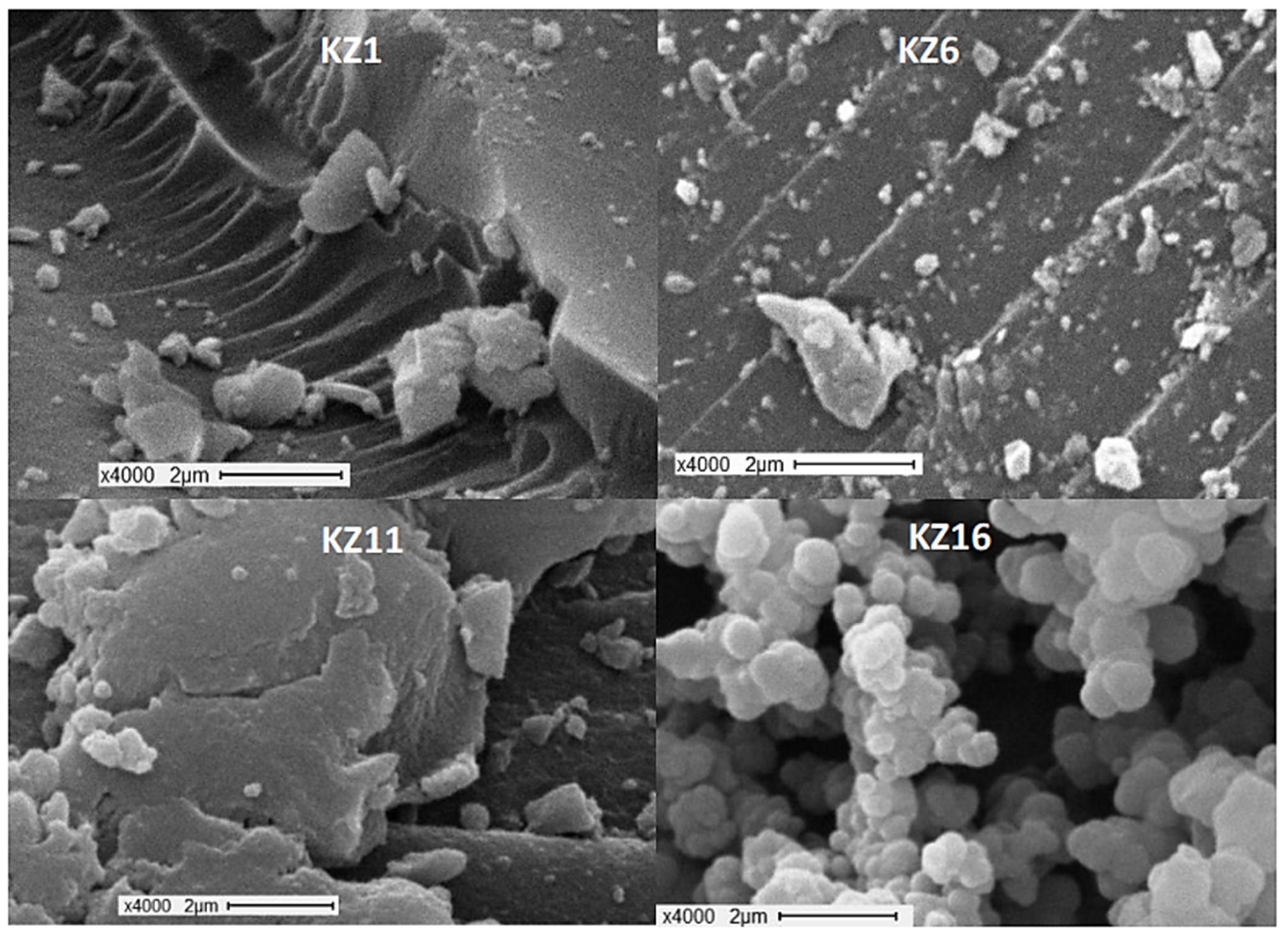 Suschem 02 00037 g003