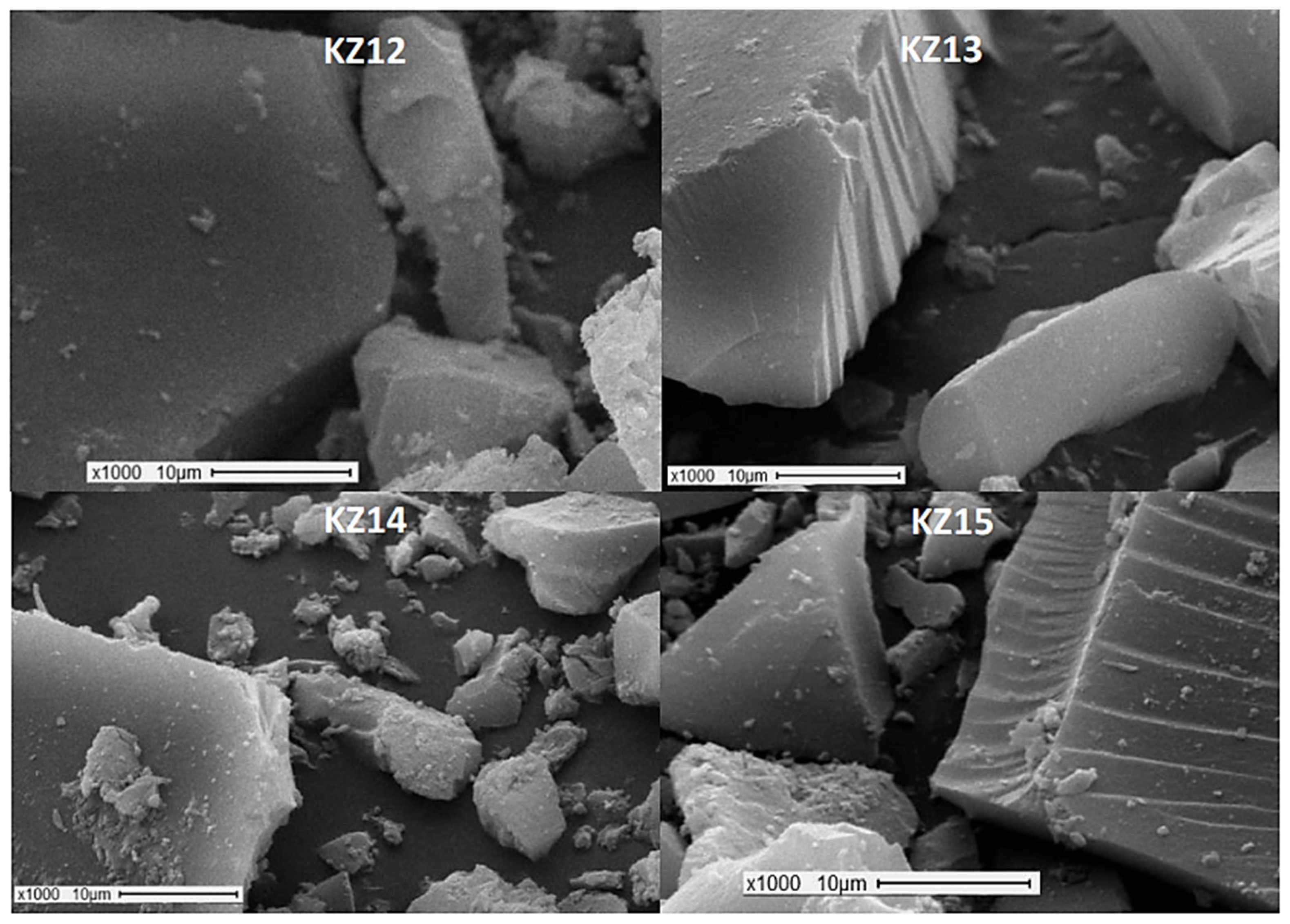 Suschem 02 00037 g004