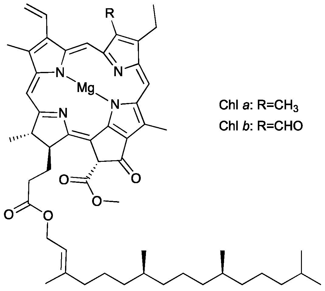 Suschem 02 00040 g001
