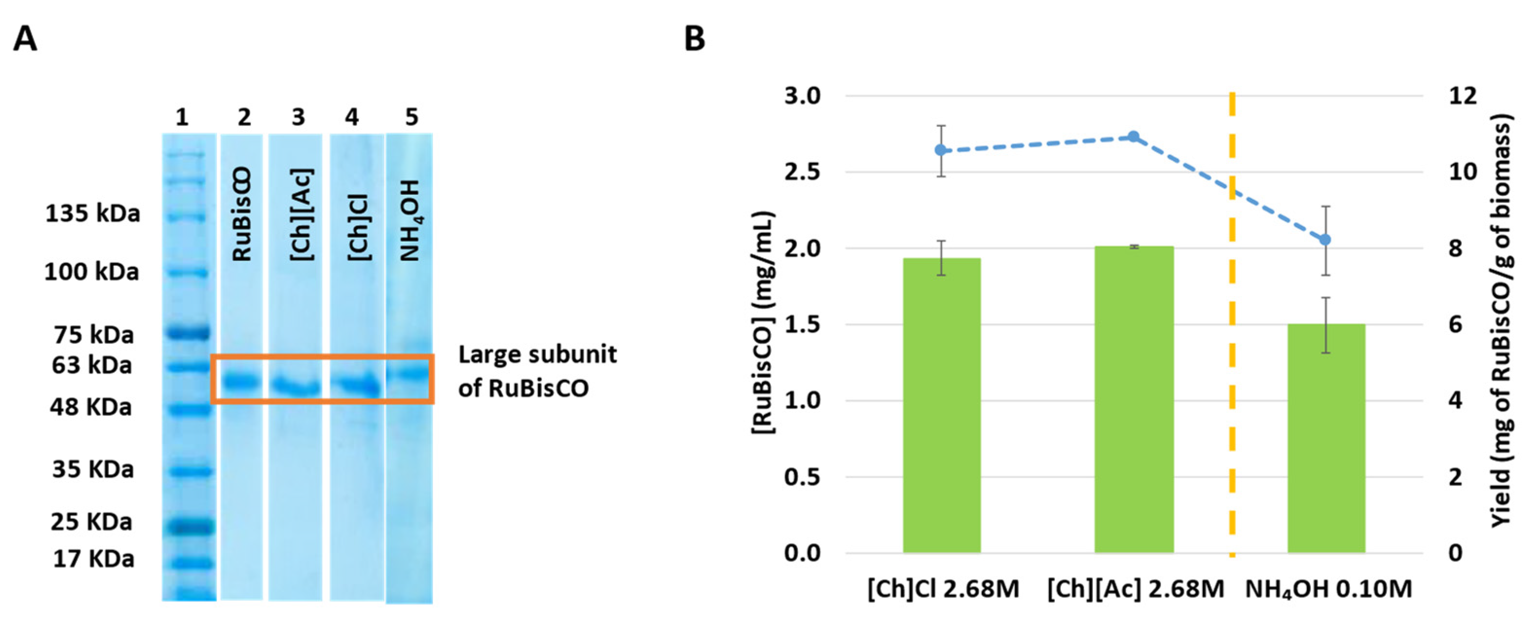 Suschem 03 00001 g007