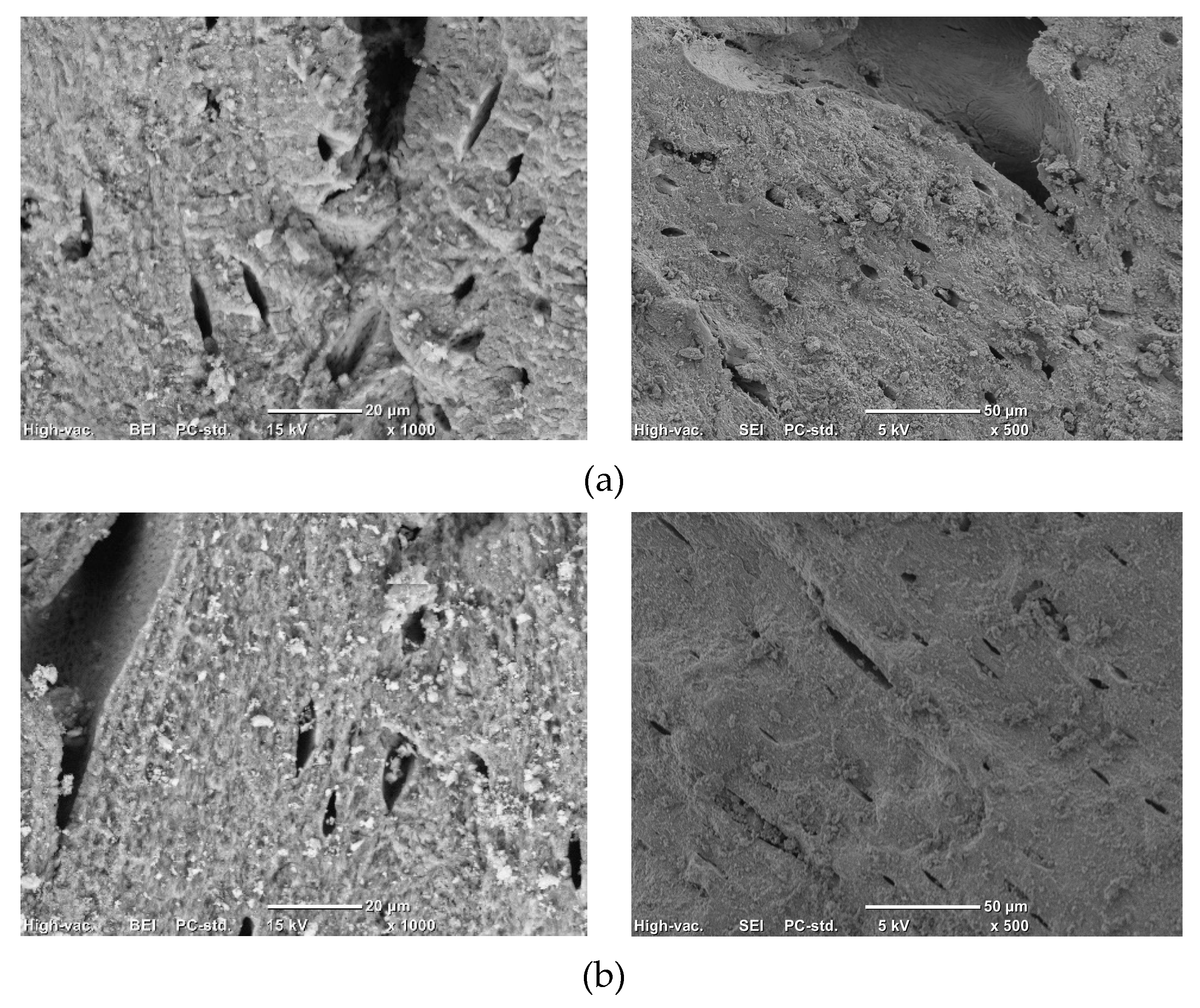 Suschem 03 00002 g003