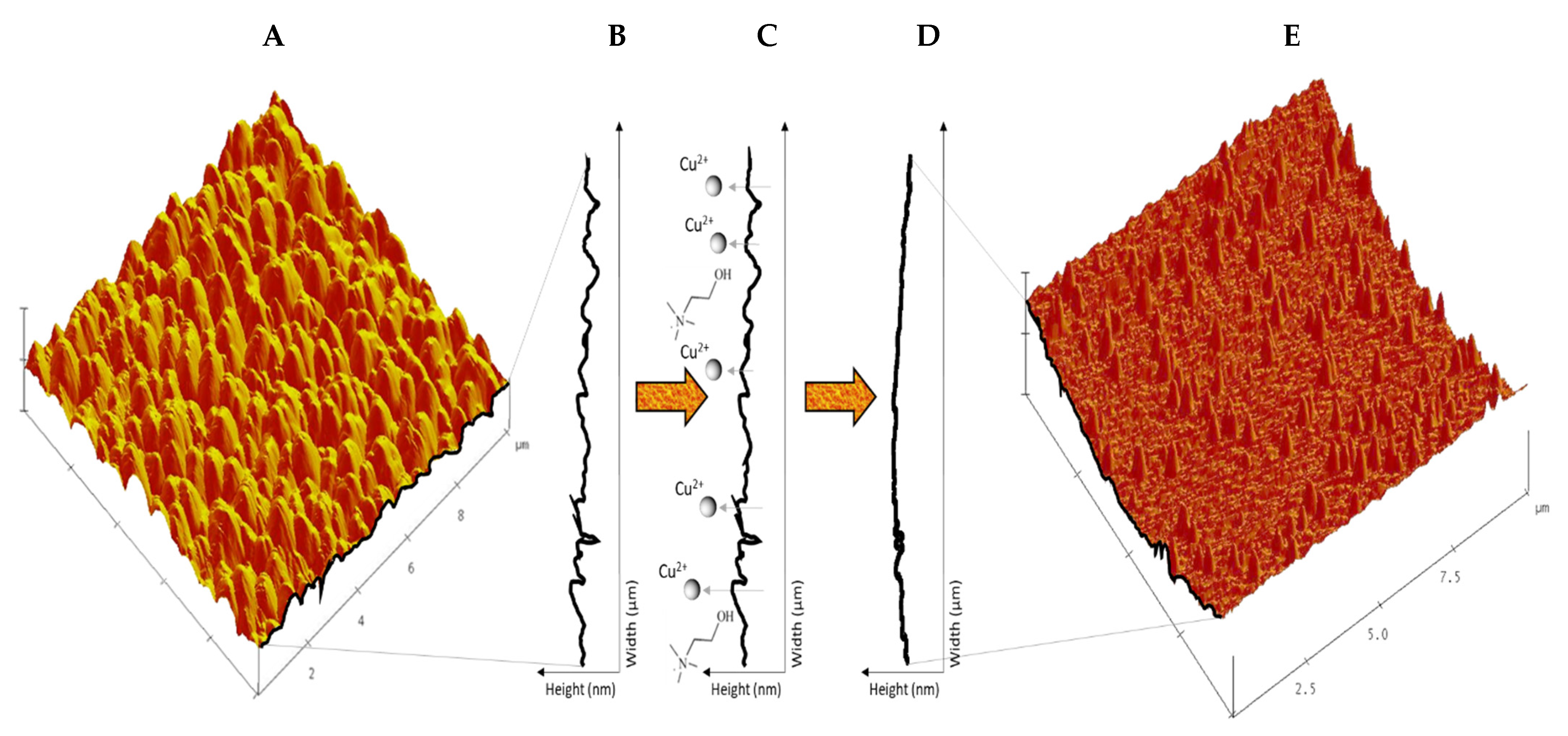 Suschem 03 00015 g001